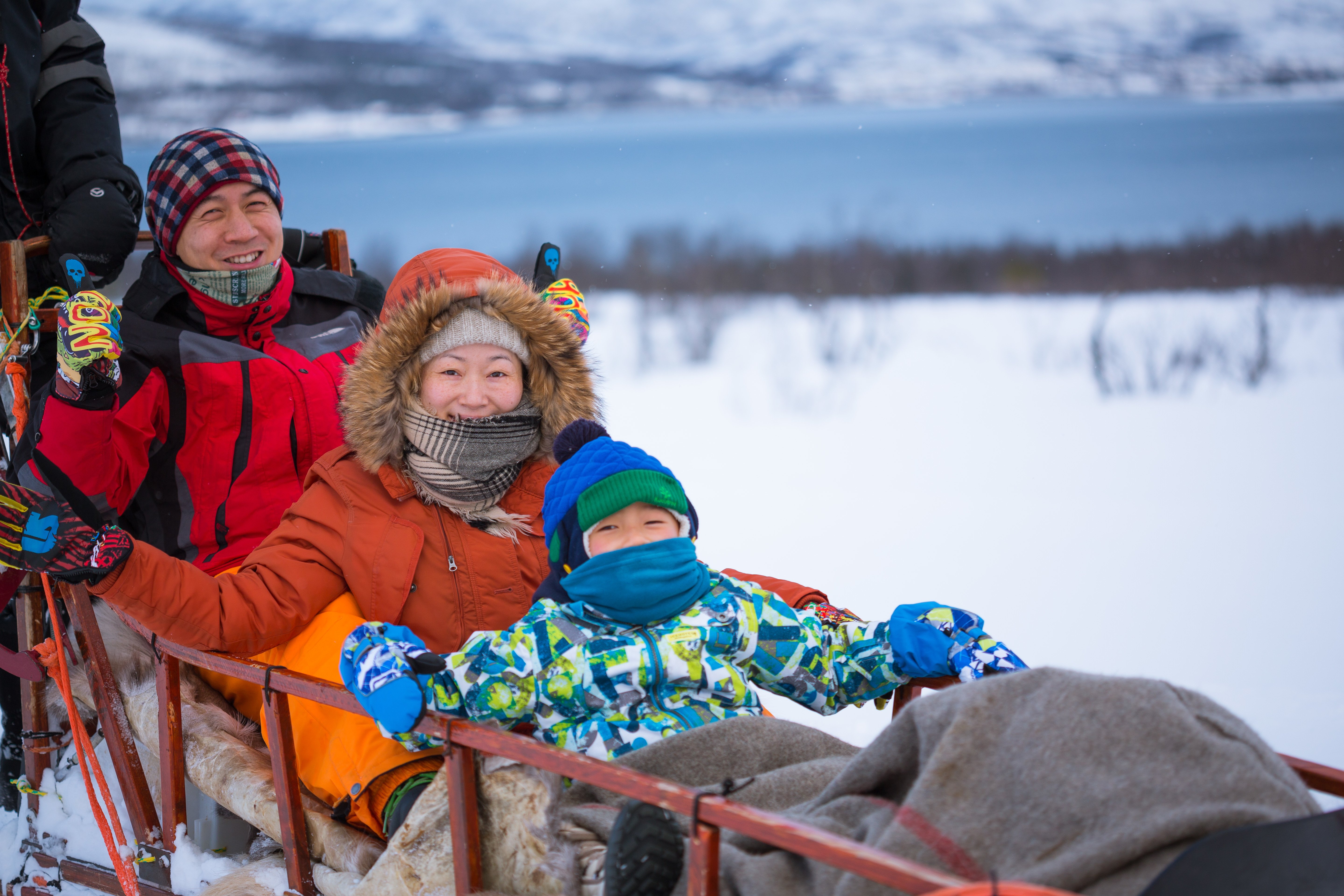 Tromsø: Guided Husky Sledding with Traditional Lunch