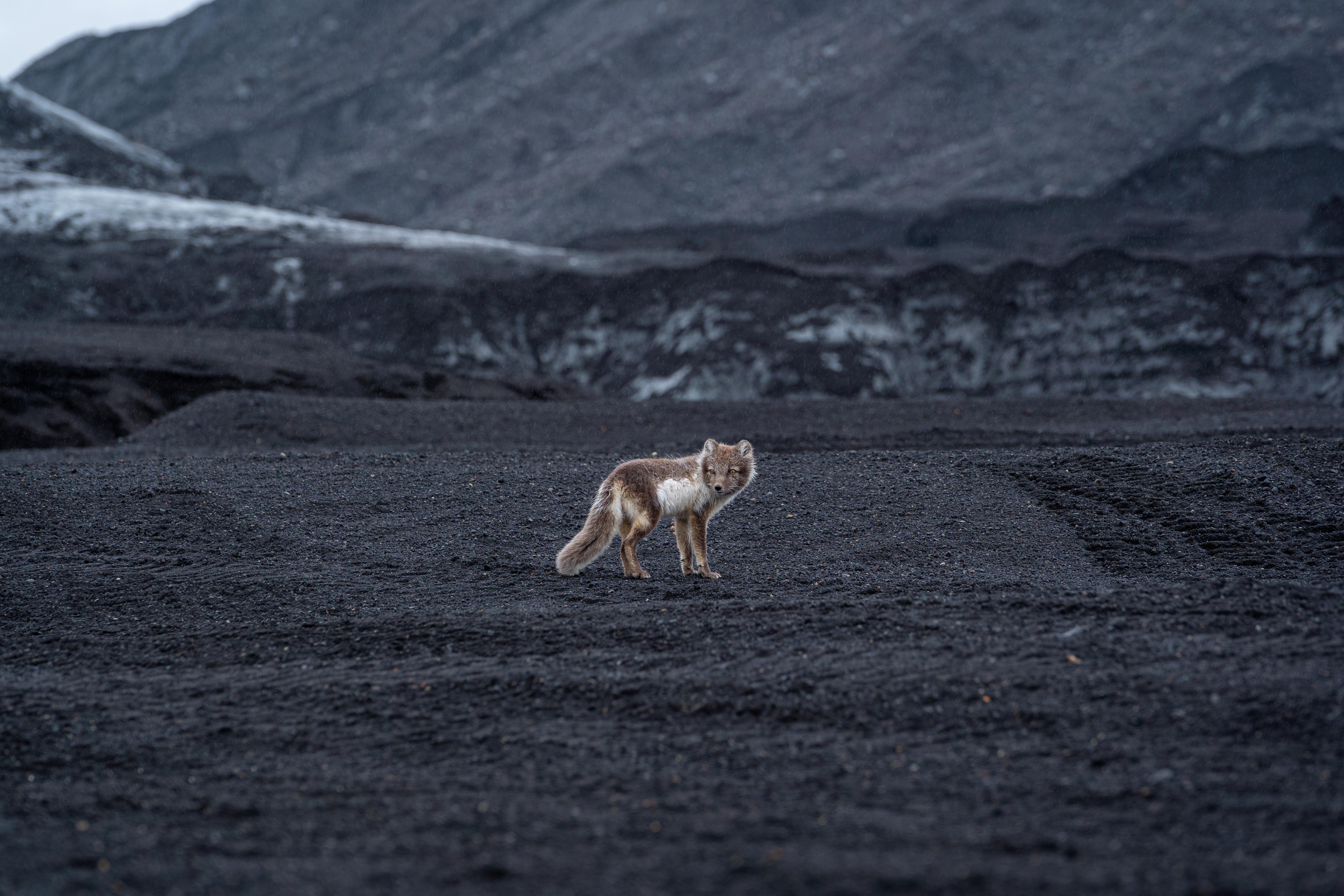 Vik: Katla Ice Cave & Super Jeep Expedition