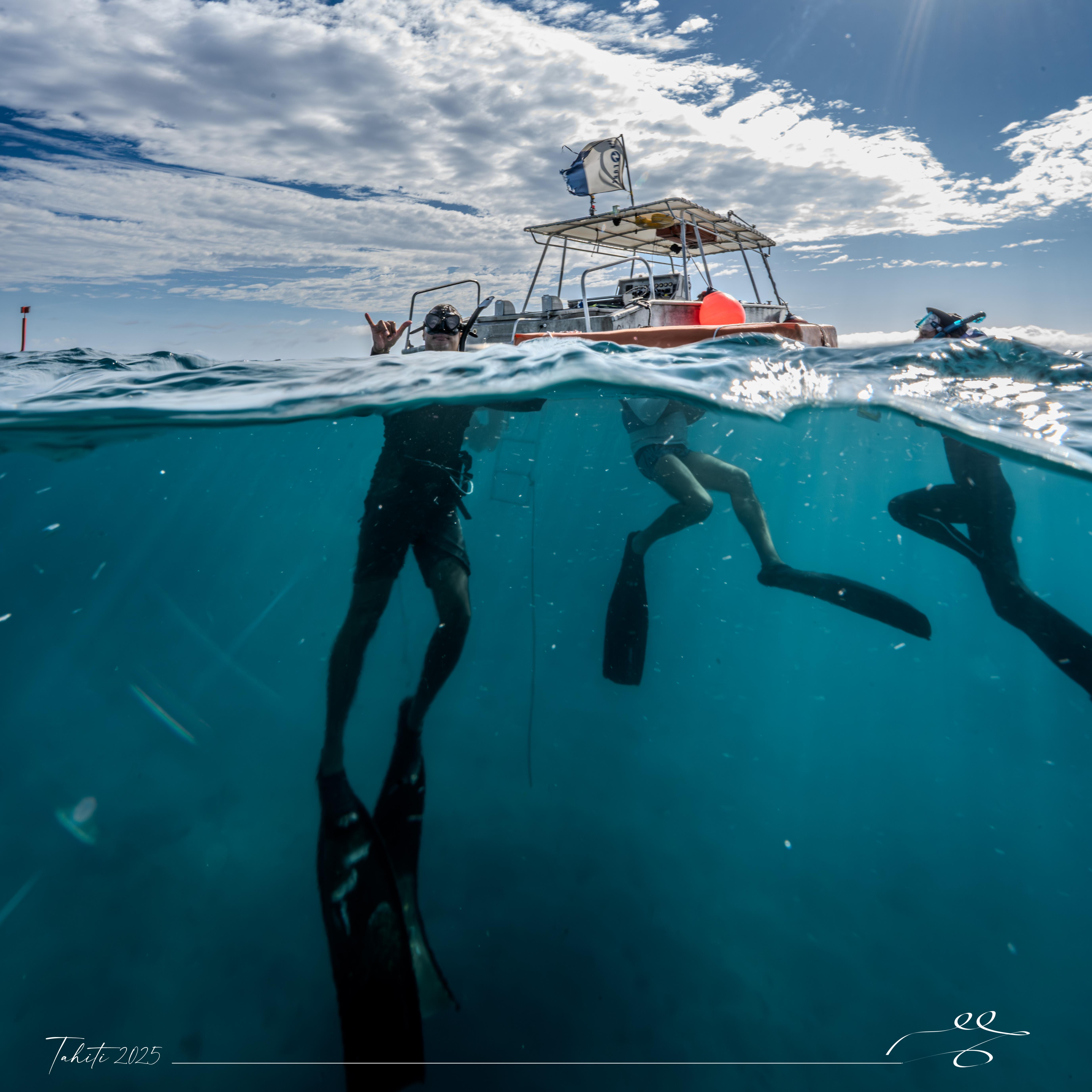 Tahiti Ocean Adventure: Whale Watching, Snorkeling & Scuba Diving