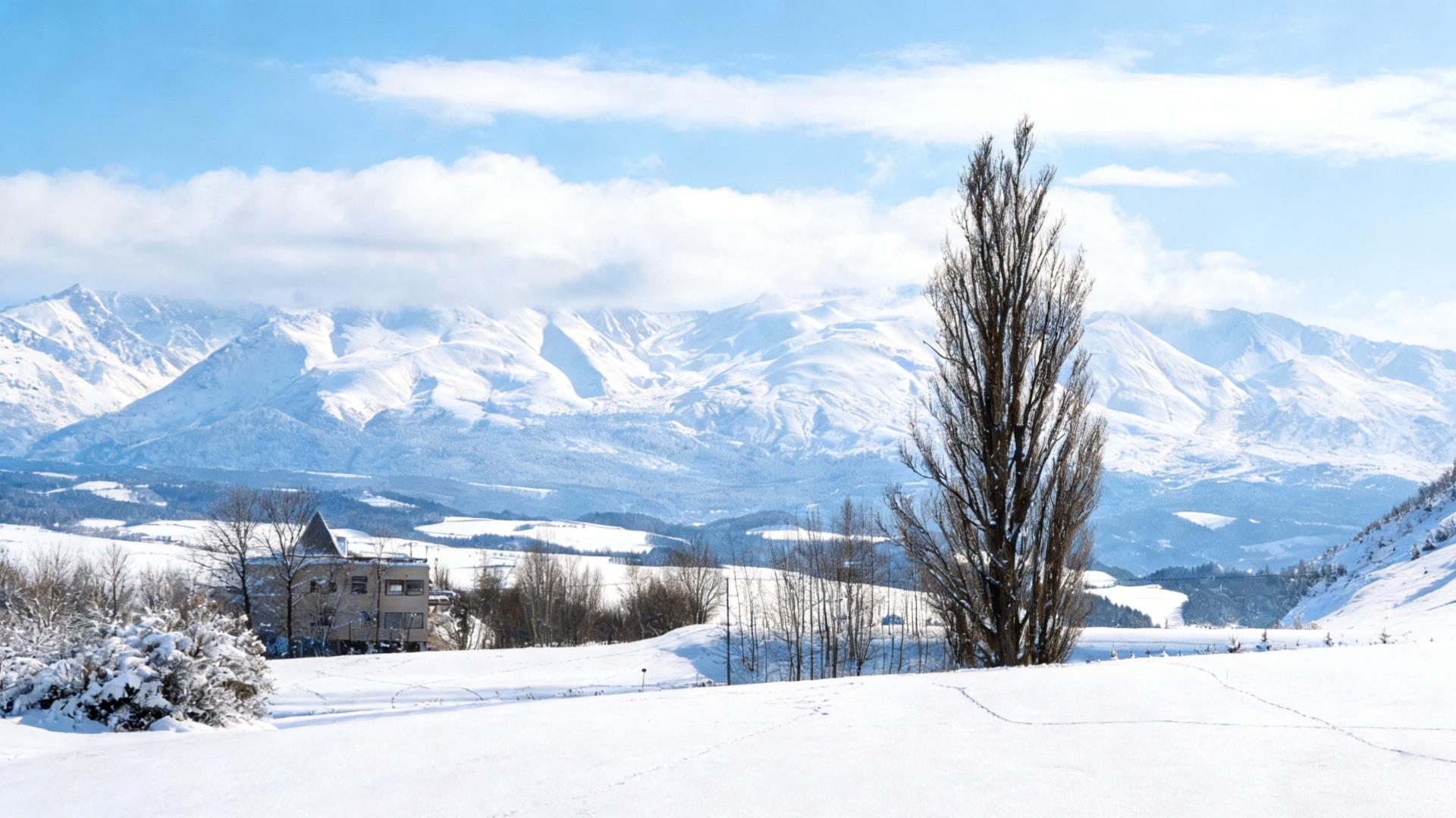 Hokkaido Winter Wonderland: Shikisai no Oka & Blue Pond Illumination Day Tour