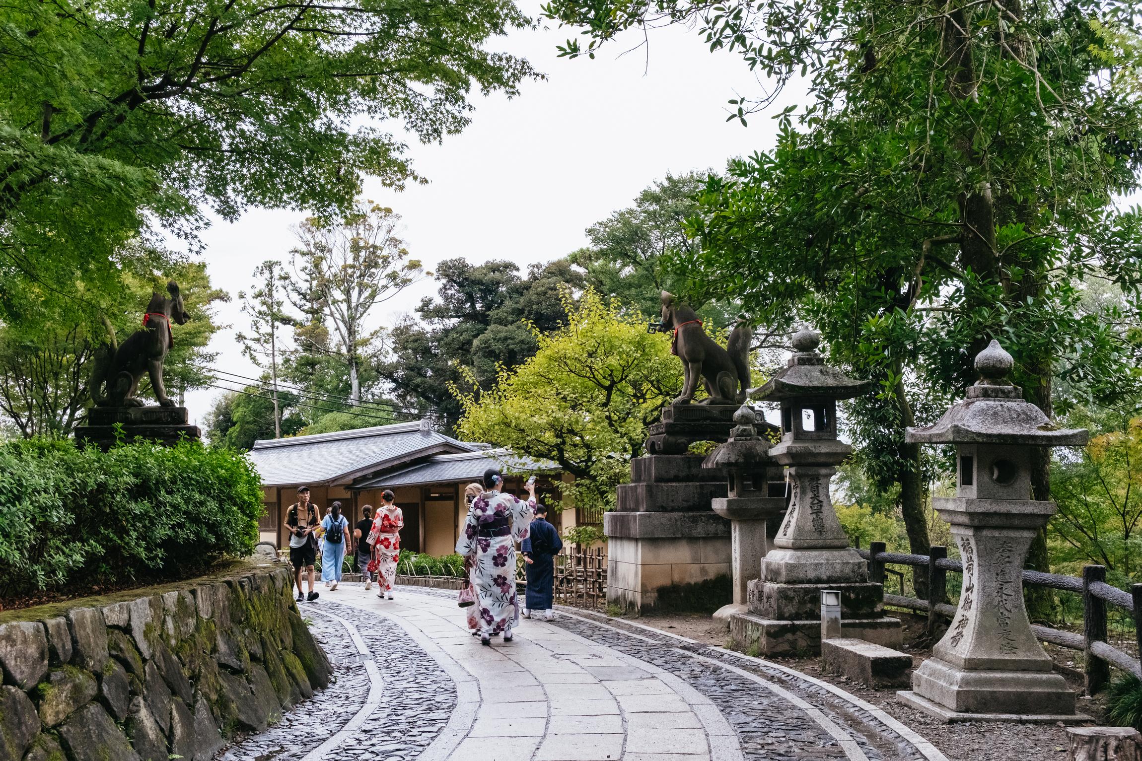 Kyoto in a Day: Bamboo Grove, Nijo Castle & Fushimi Inari Bus Tour