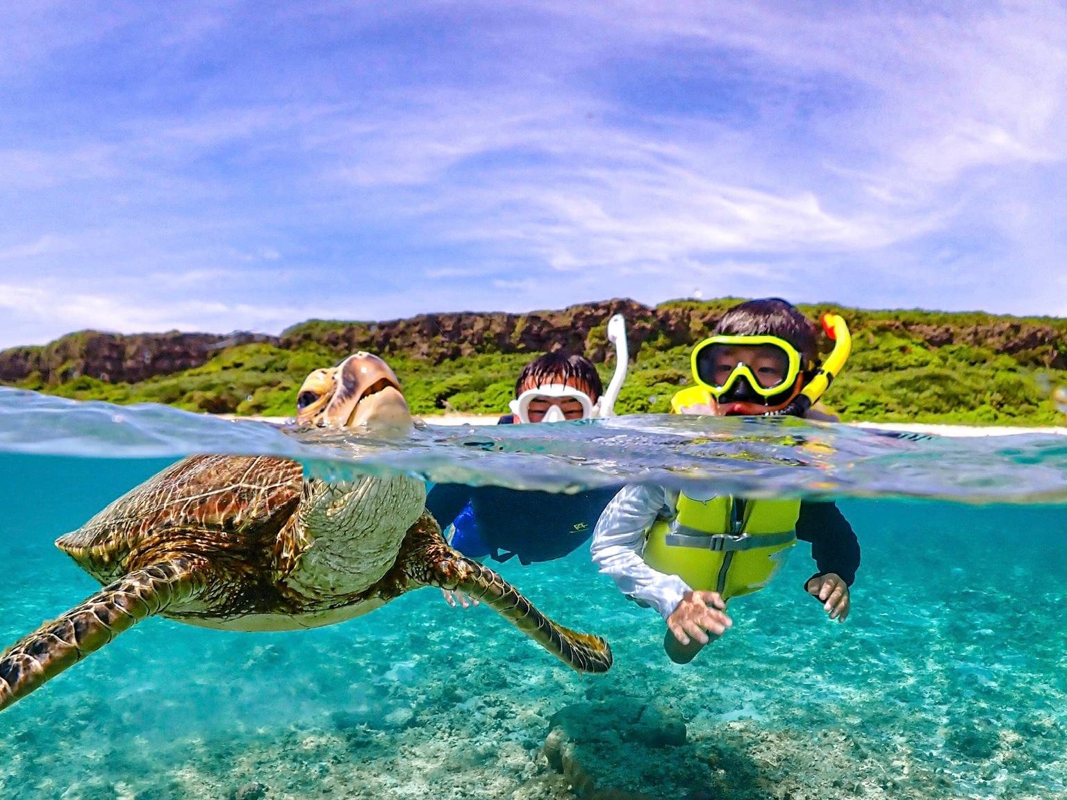 Miyakojima Sea Turtle Snorkeling with Underwater Photography