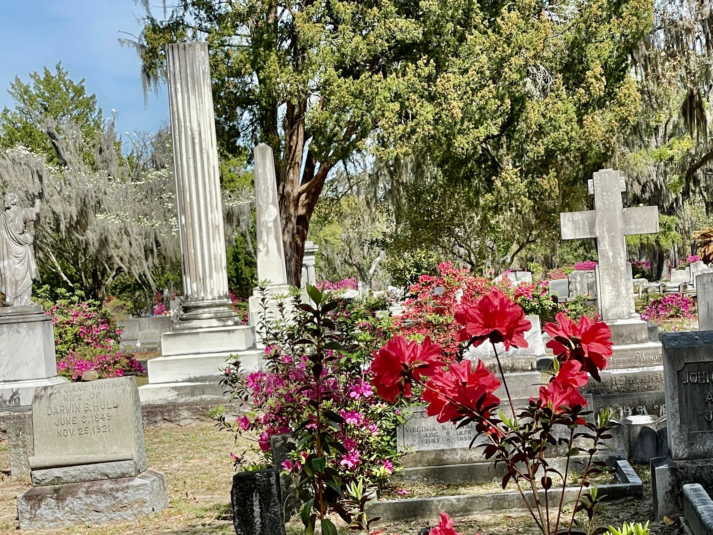 Bonaventure Cemetery Guided Golf Cart Tour