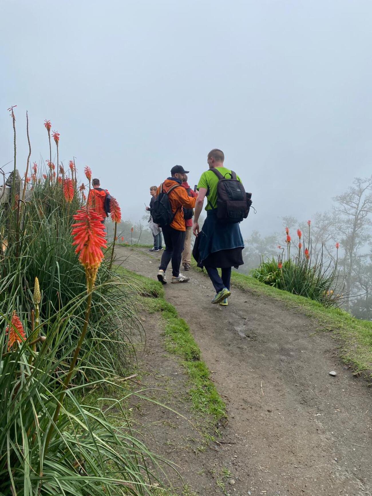 Cocora Valley Forest Hike & Jeep Willys Adventure from Salento