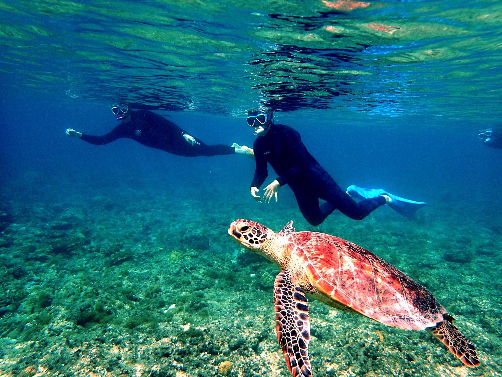Kerama Islands Snorkeling Adventure from Naha