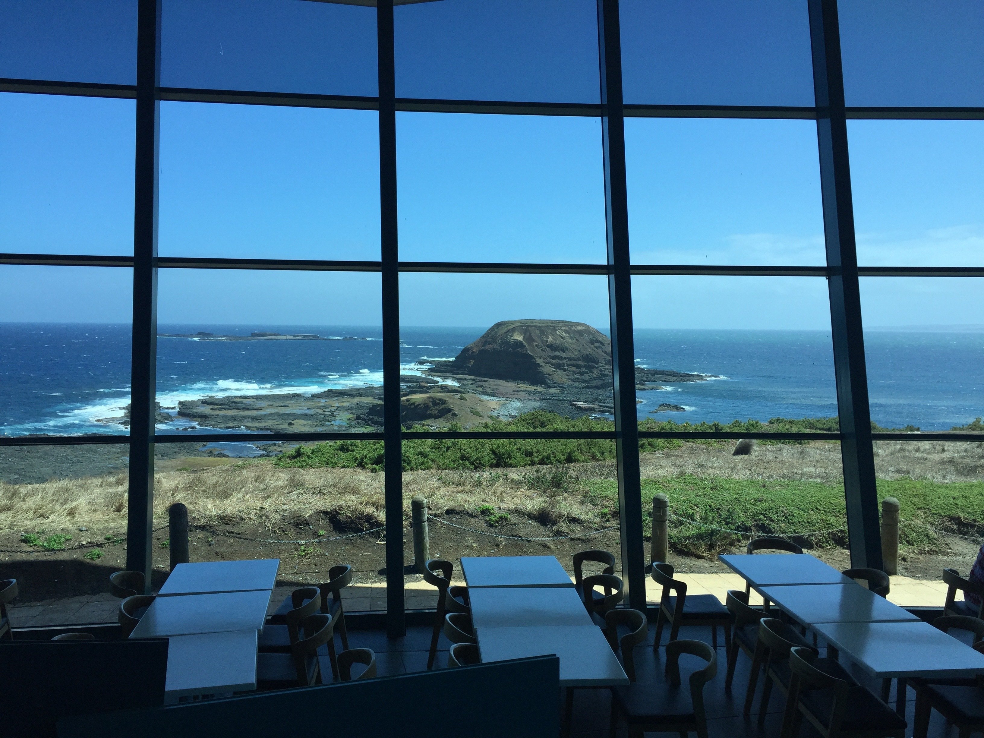 Phillip Island Penguin Parade & Koala Wildlife Tour