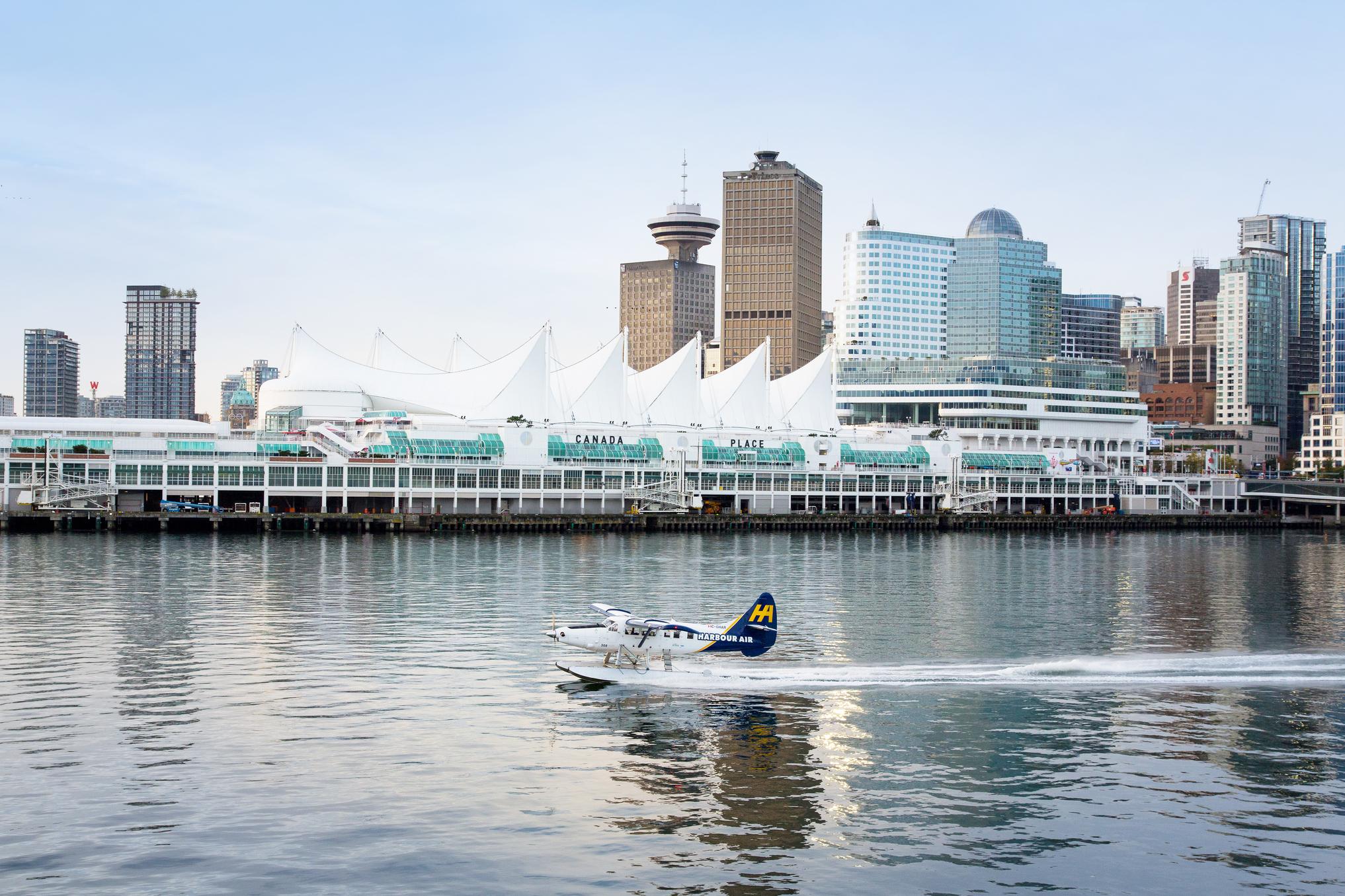 Vancouver whale watching tour — orcas and marine wildlife in the Salish Sea — image 2