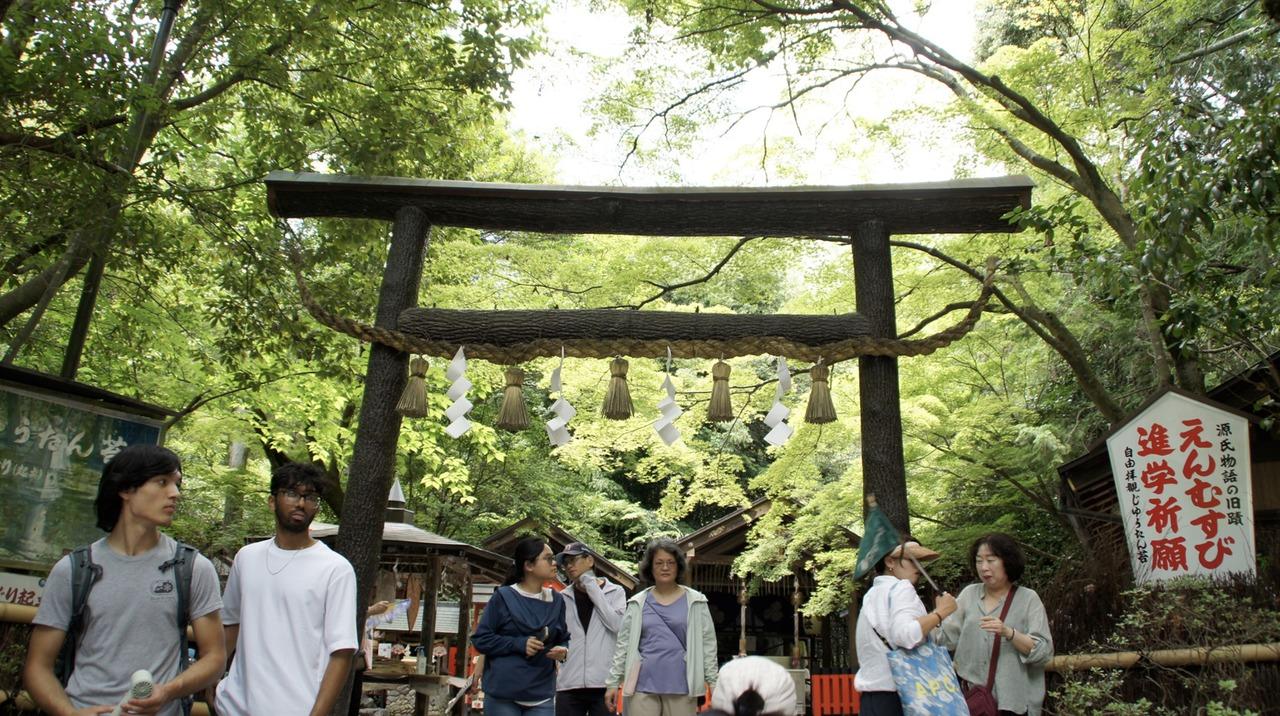 嵐山のハイライト：竹林、禅寺、モンキーパーク散策