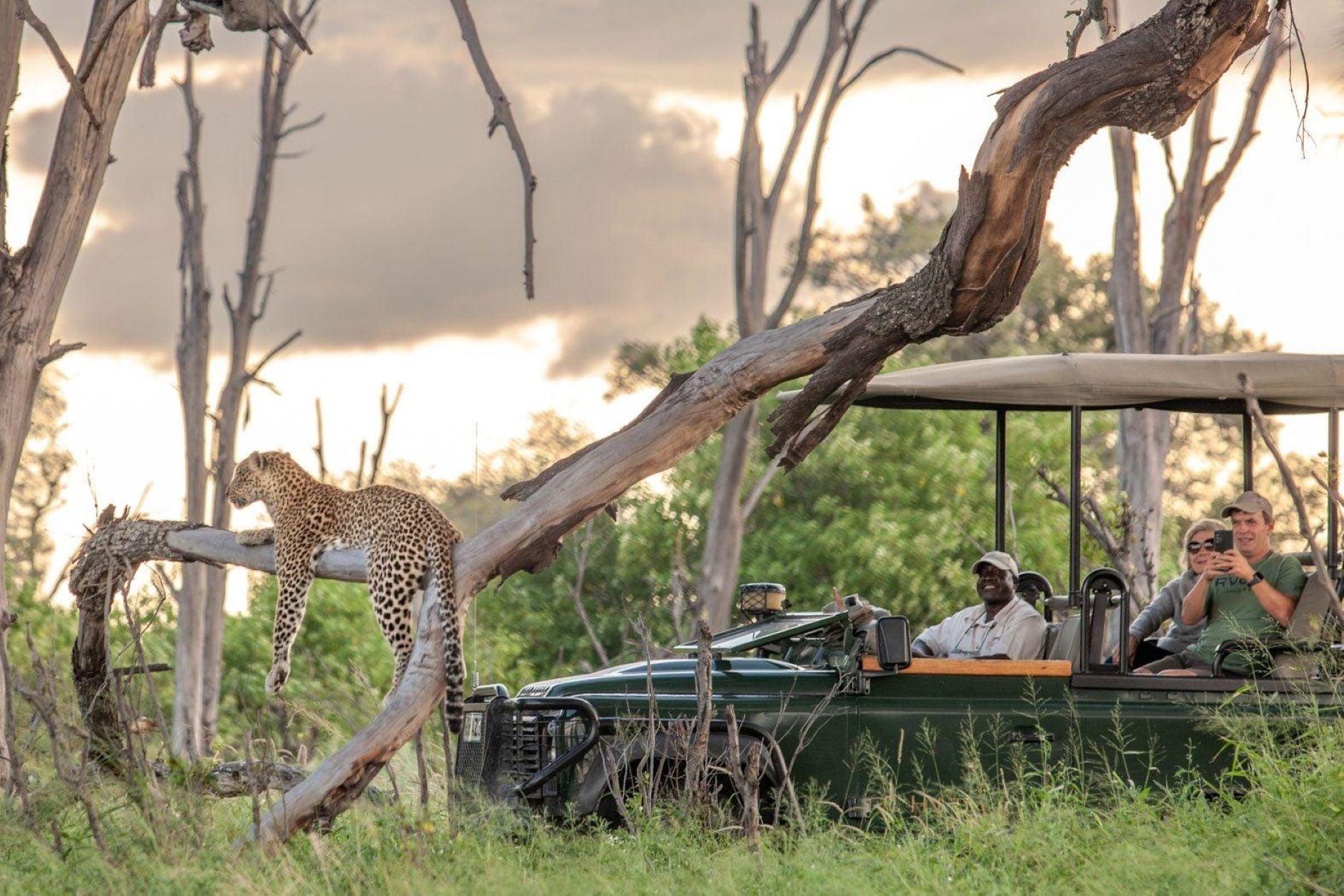 Three-Country Safari: Victoria Falls, Chobe & Zambezi River