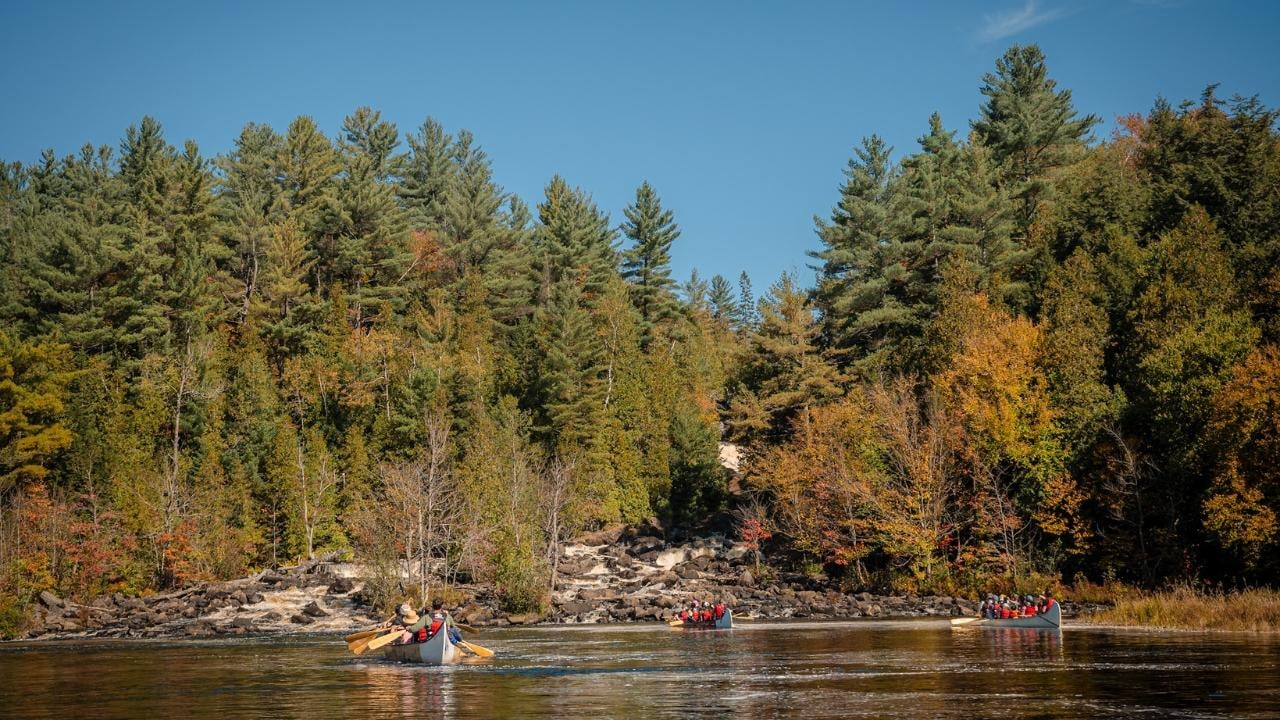 Toronto: Algonquin Park & Ragged Falls Day Trip