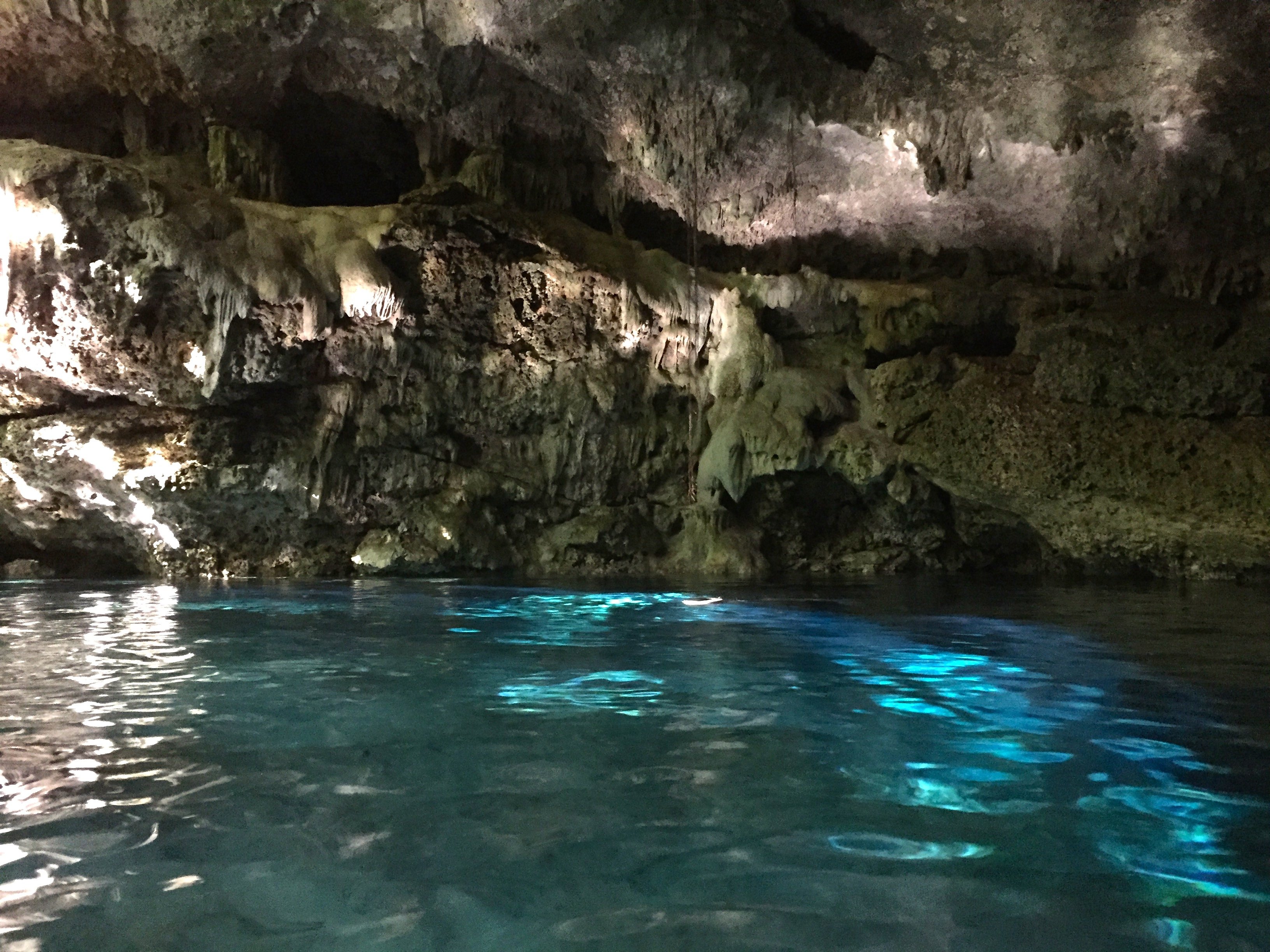 Playa del Carmen: Riviera Maya Buggy Tour with Cenote Swim - 2026 (Verified Reviews)