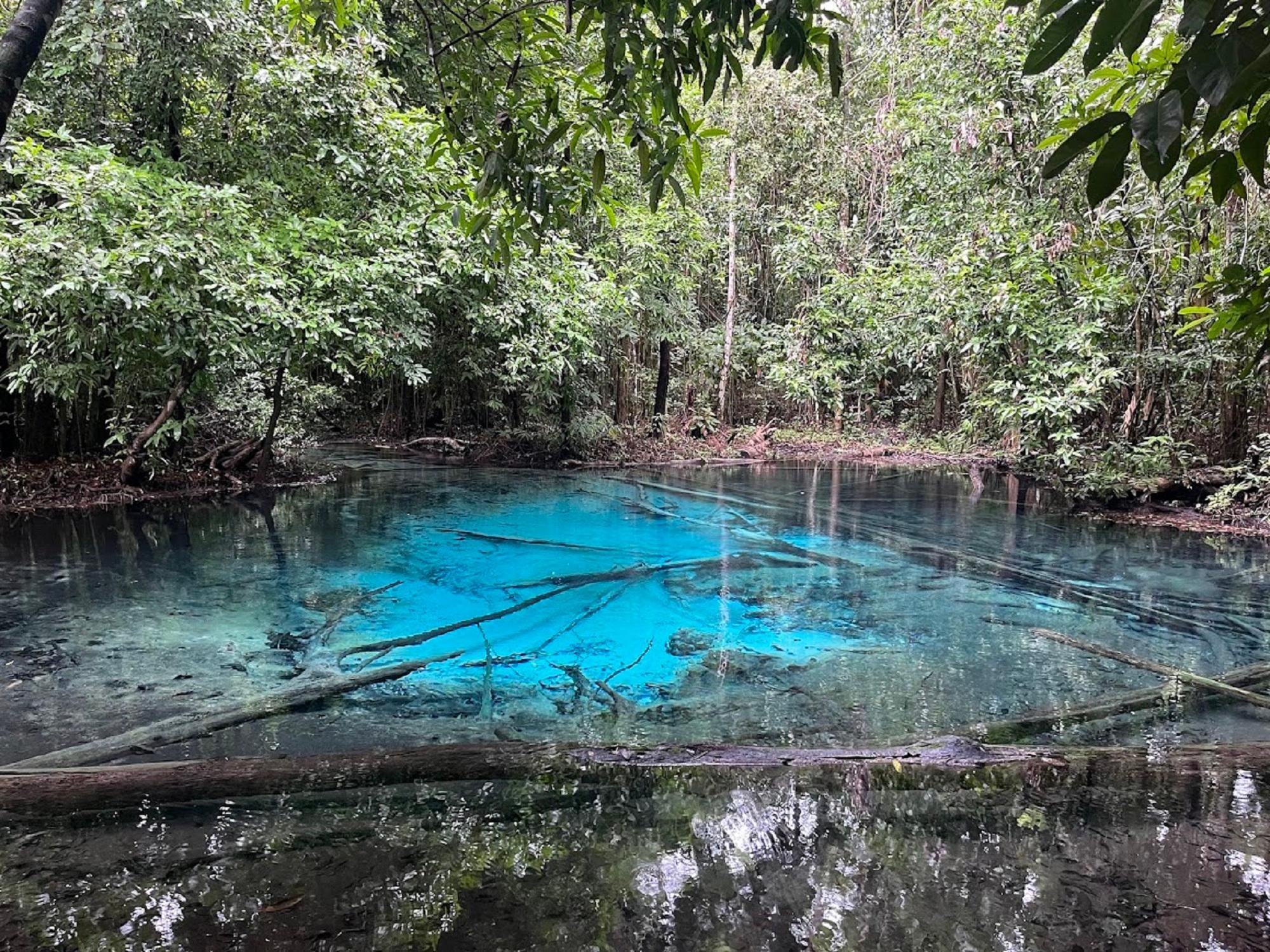 Krabi Nature & Temples Day Tour: Emerald Pool, Hot Springs & Tiger Cave
