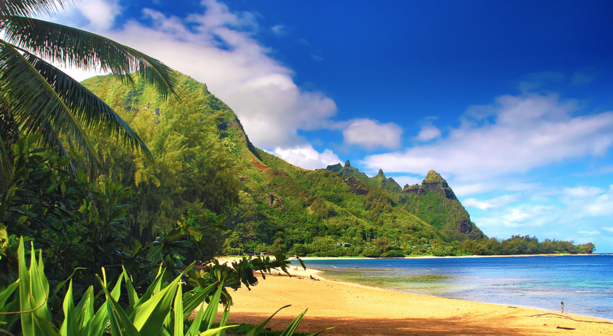 Private Luxury Kauai Island Tour