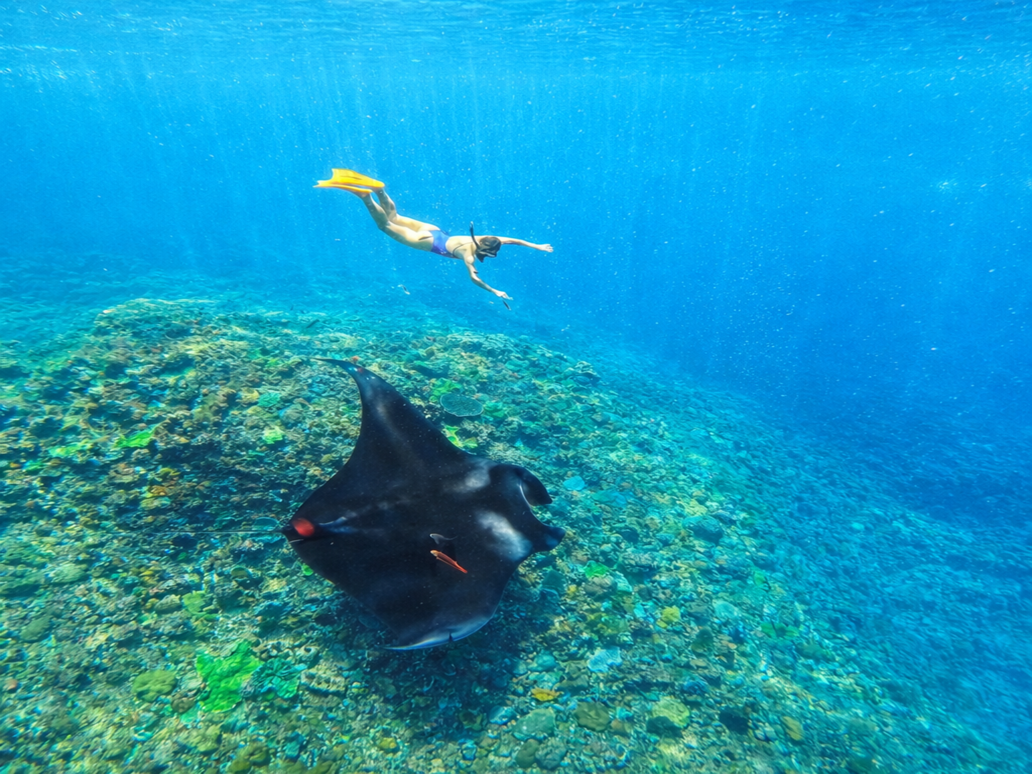 Nusa Penida Snorkeling & West Coast Adventure