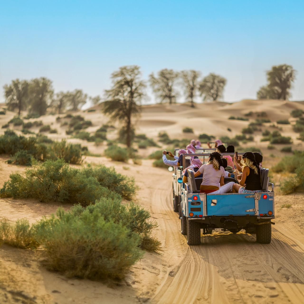 Heritage Desert Safari in Classic Land Rover with Emirati Dinner