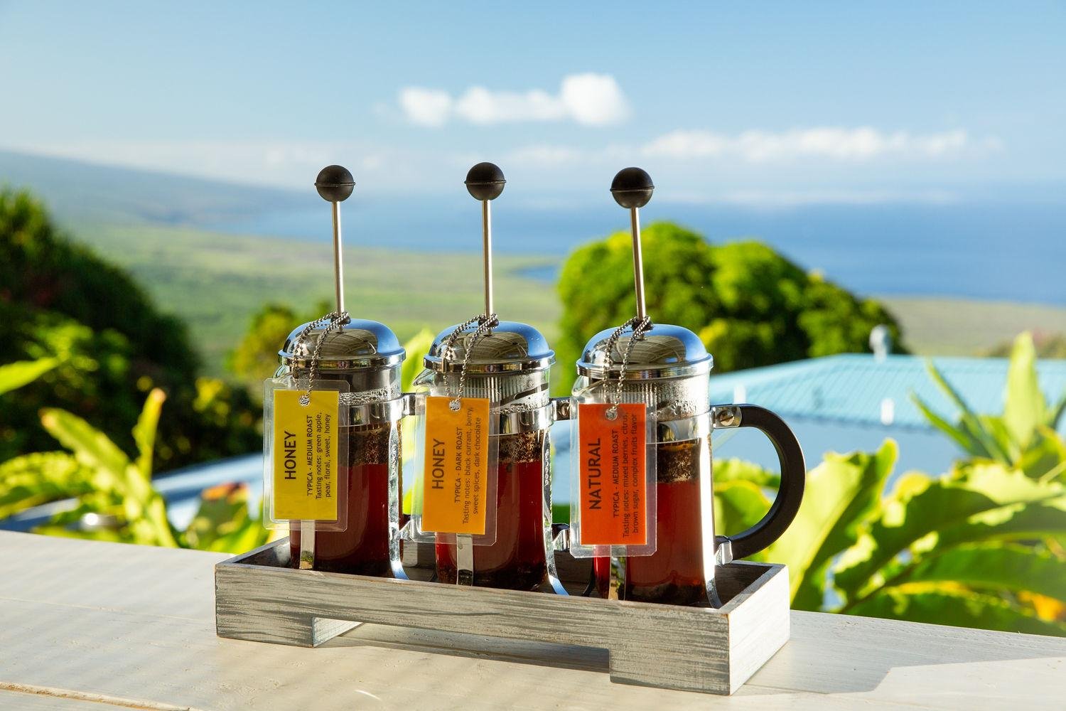 Hala Tree Coffee Farm Tour & Tasting