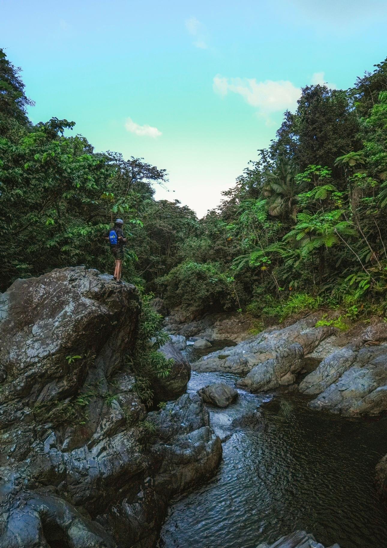 El Yunque Rainforest Adventure & Natural Waterslide Tour