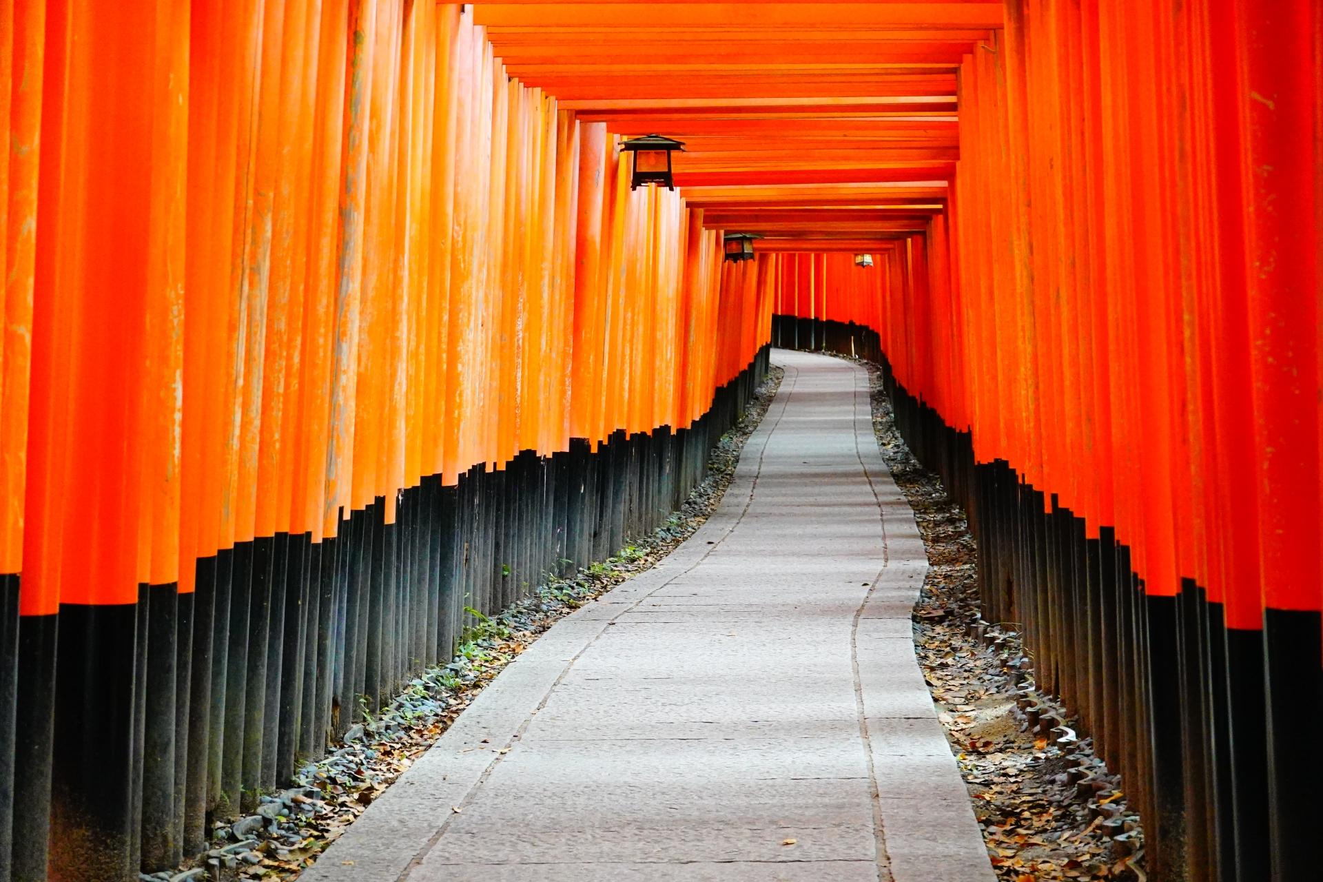 Classic Kyoto & Nara Day Tour from Osaka/Kyoto