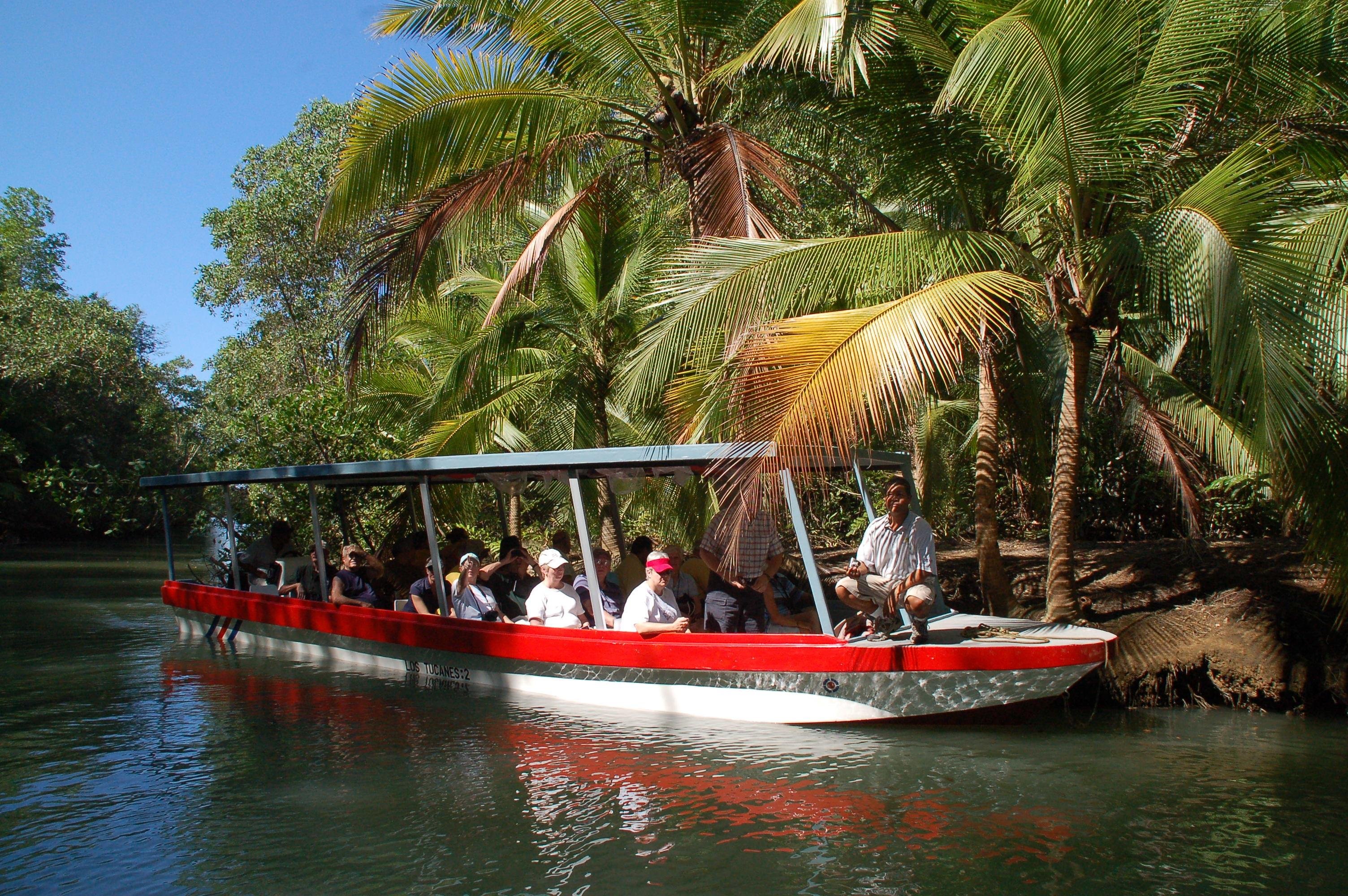 Damas Island Mangrove Boat Exploration