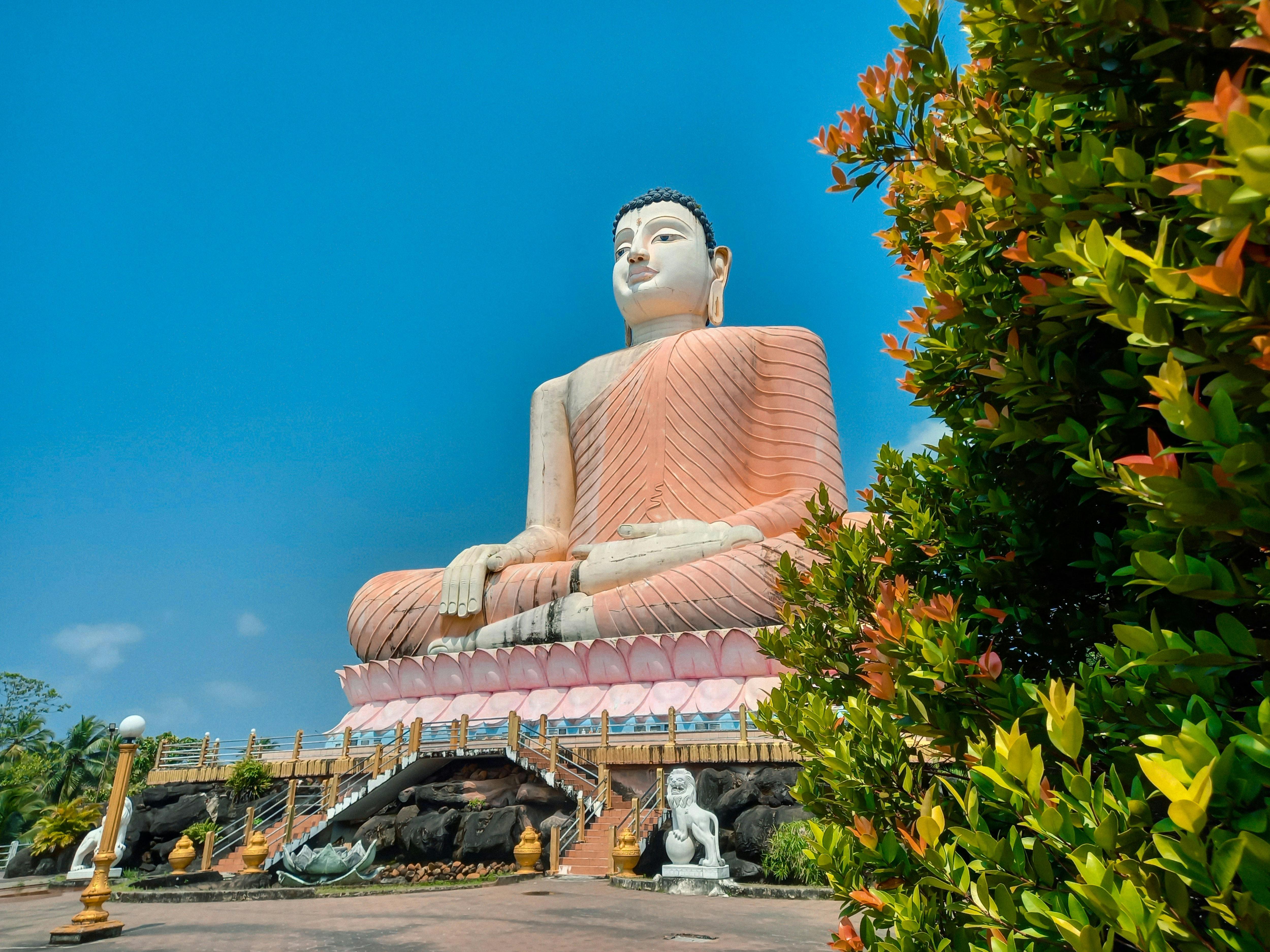 Sri Lanka: Private Guided Scenic Train Journey to Galle or Kandy