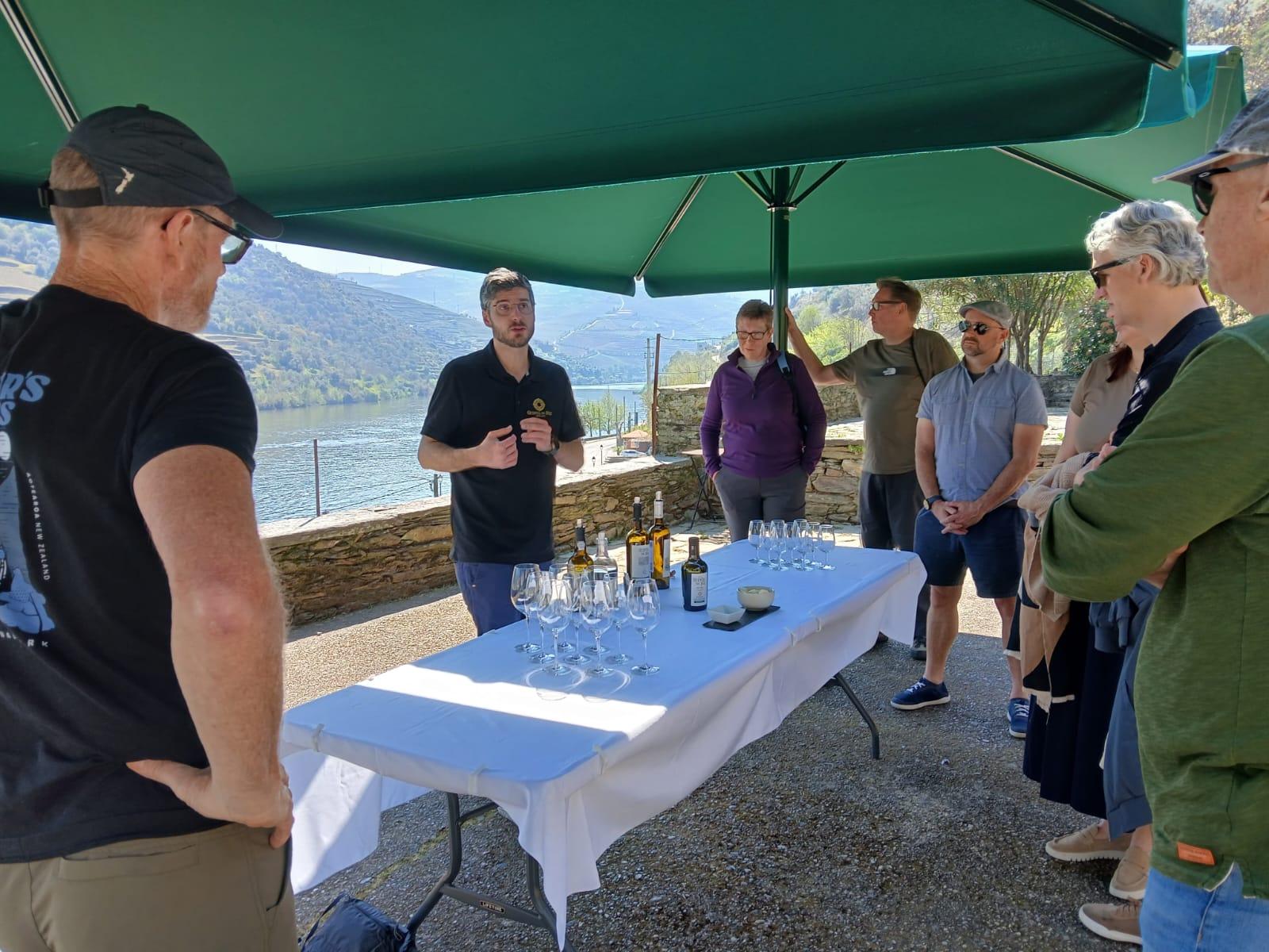 Douro Valley Small-Group Wine & Boat Tour from Porto