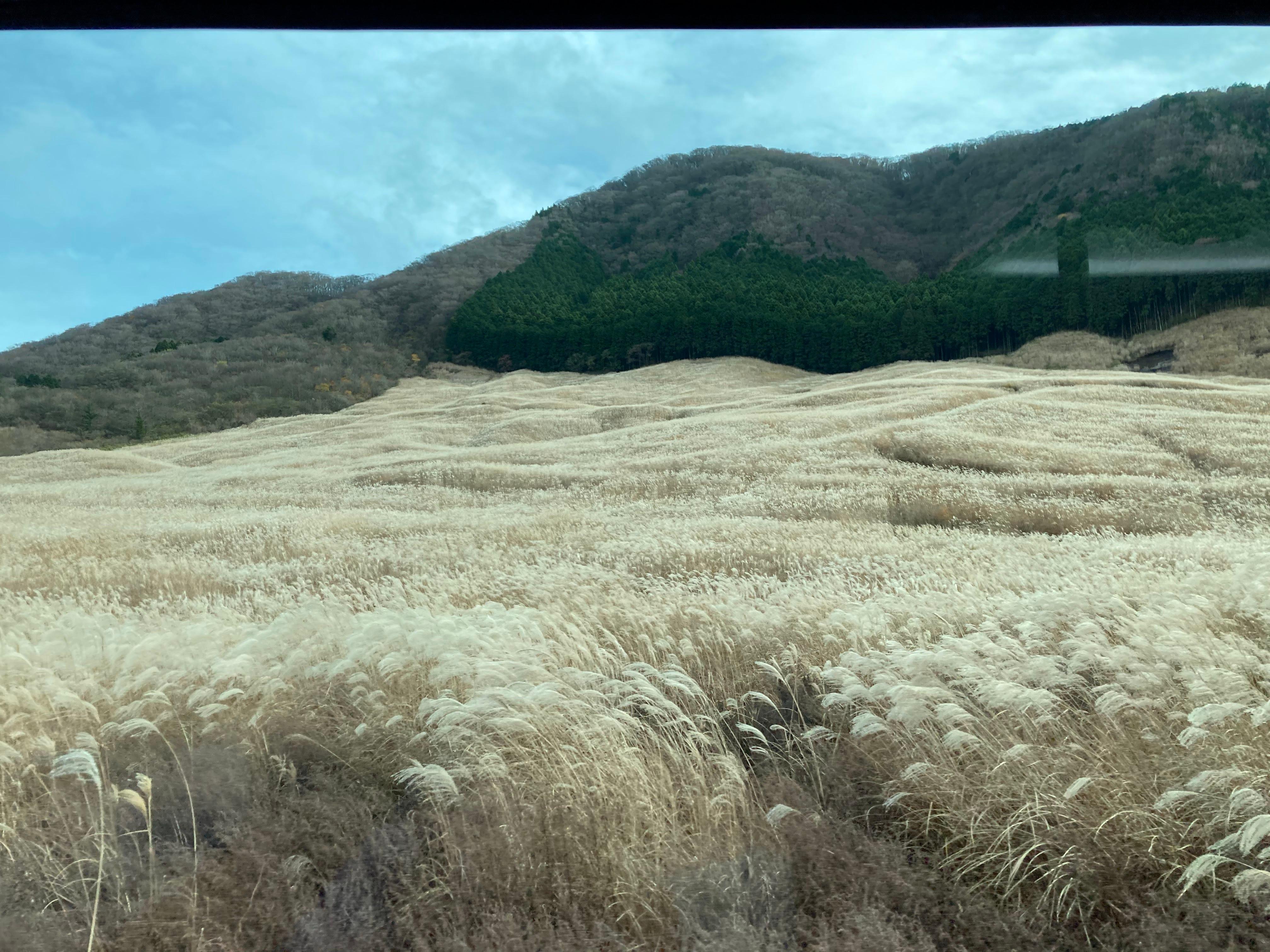Hakone Private Bespoke Day Tour from Your Hotel
