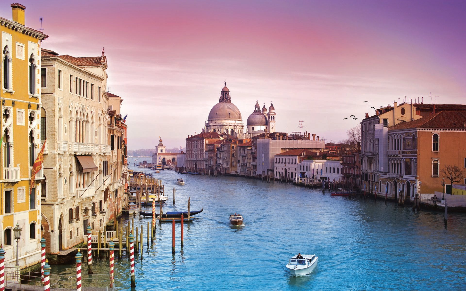 Rovinj to Venice Catamaran – Day Trip or One-Way Crossing