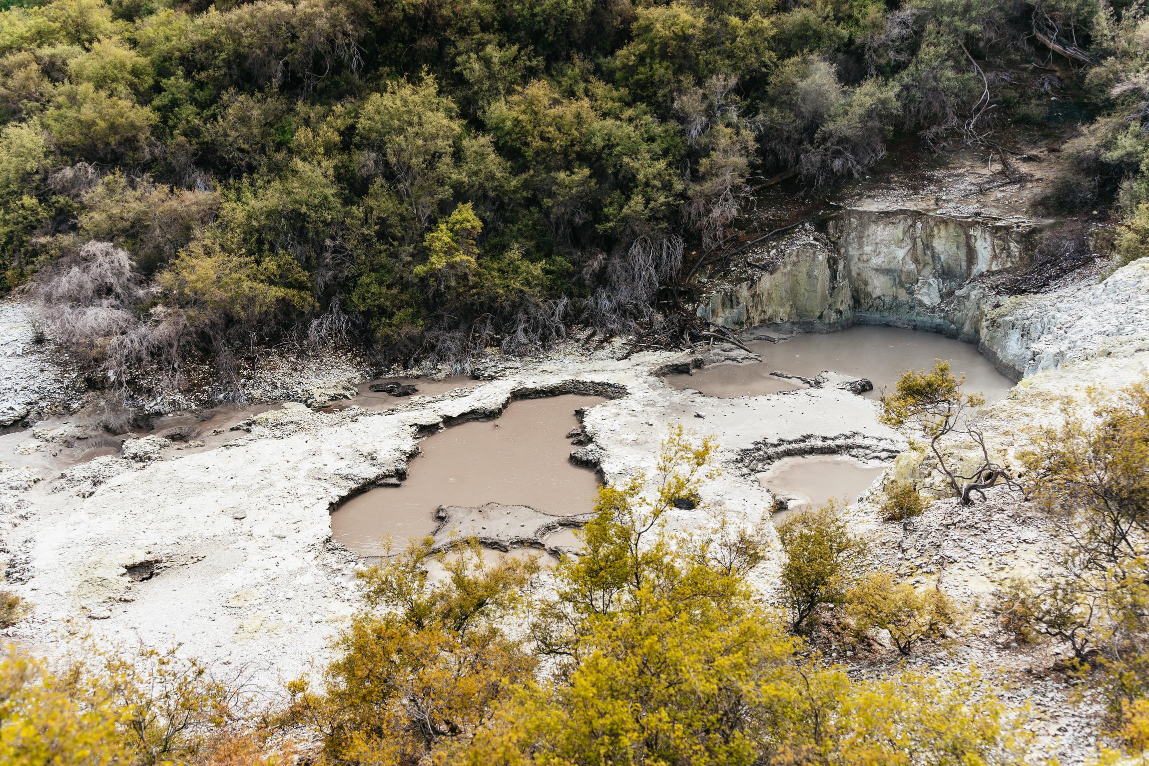Wai-O-Tapu Thermal Wonderland Rotorua — Champagne Pool and Artist's Palette — image 14