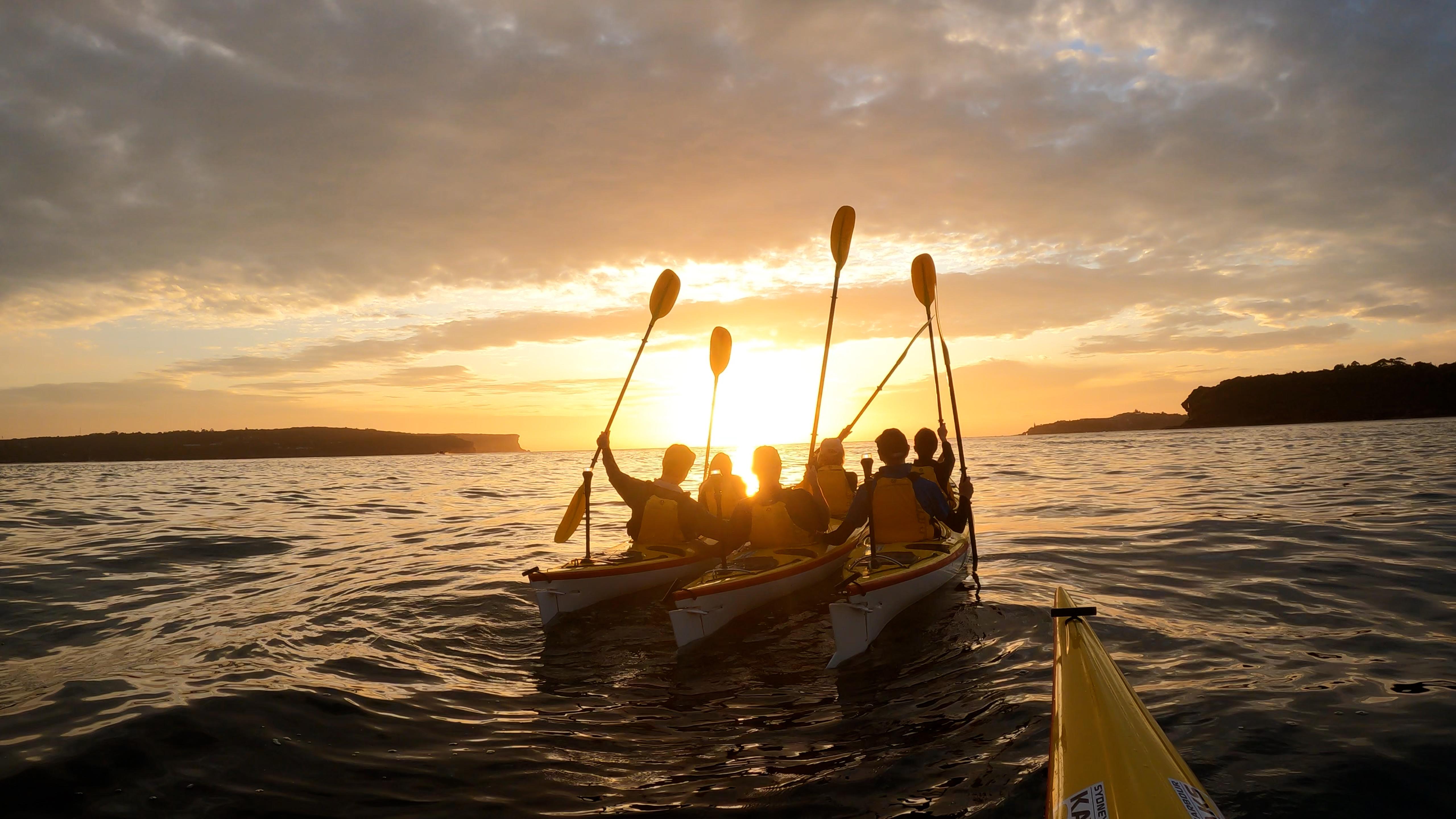Middle Harbour Sunrise Kayaking Adventure