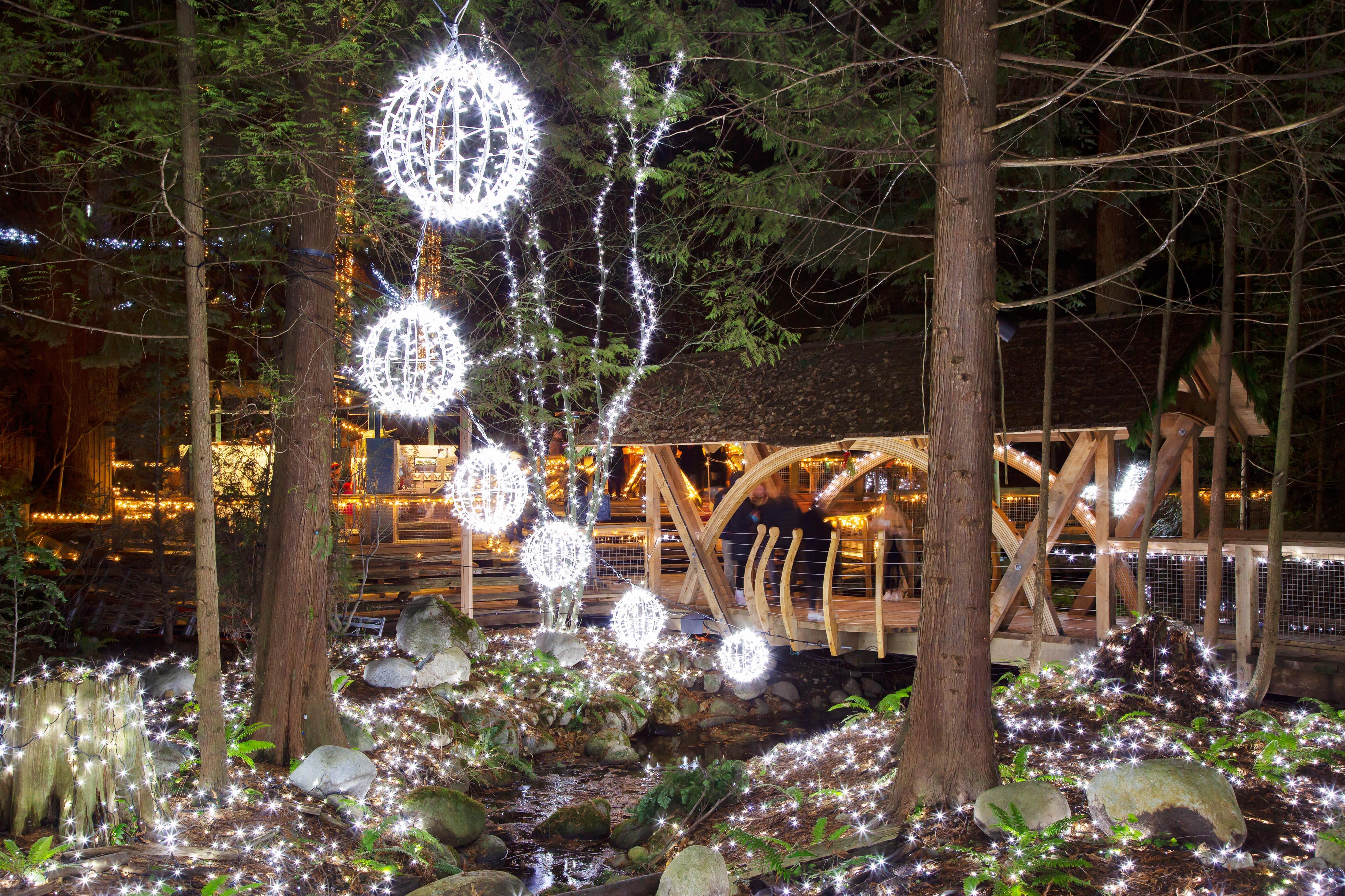 Capilano Suspension Bridge Park Entry
