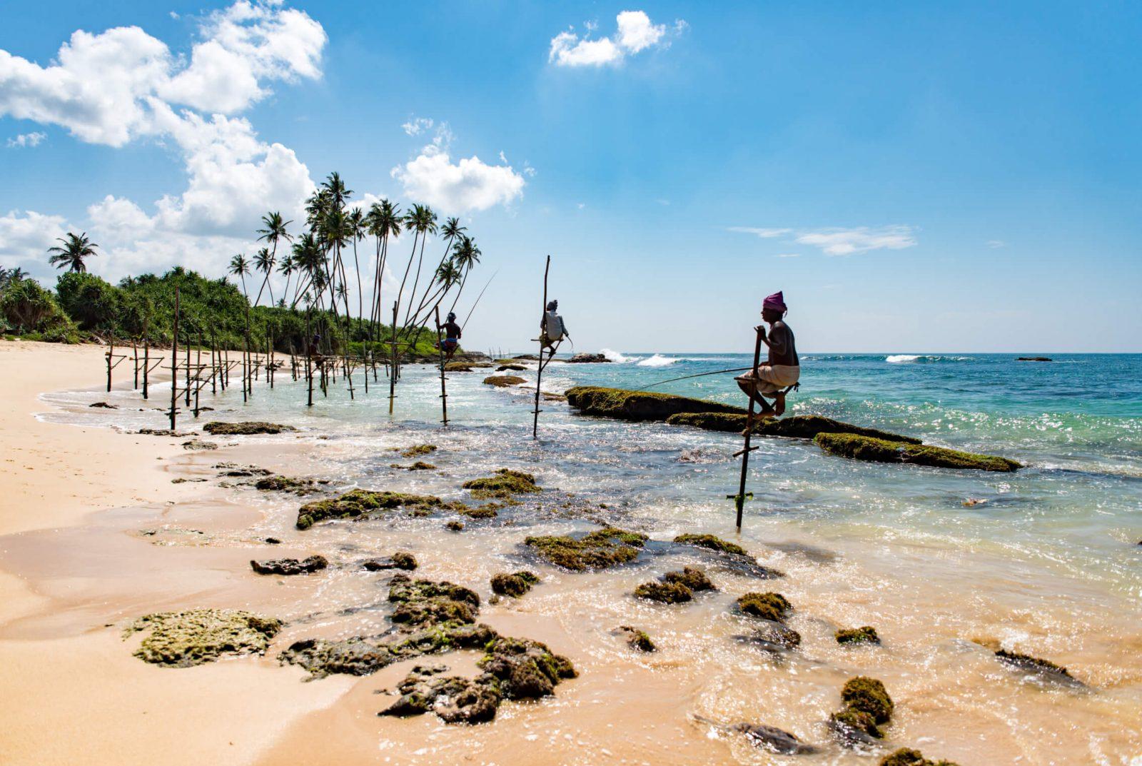 Colombo to Galle & Jungle Beach Private Day Trip