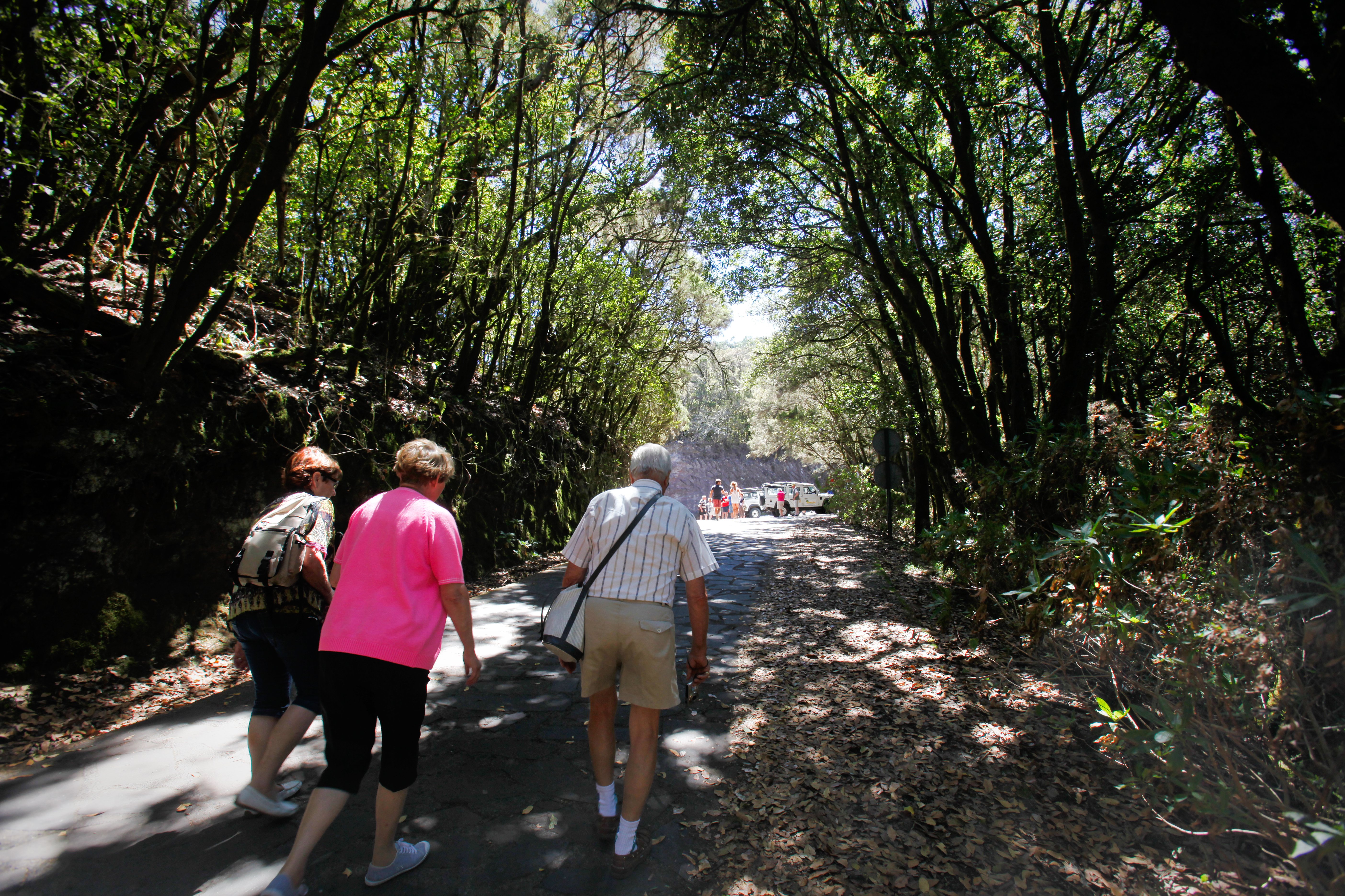 Full-Day La Gomera Jeep Safari from Arona