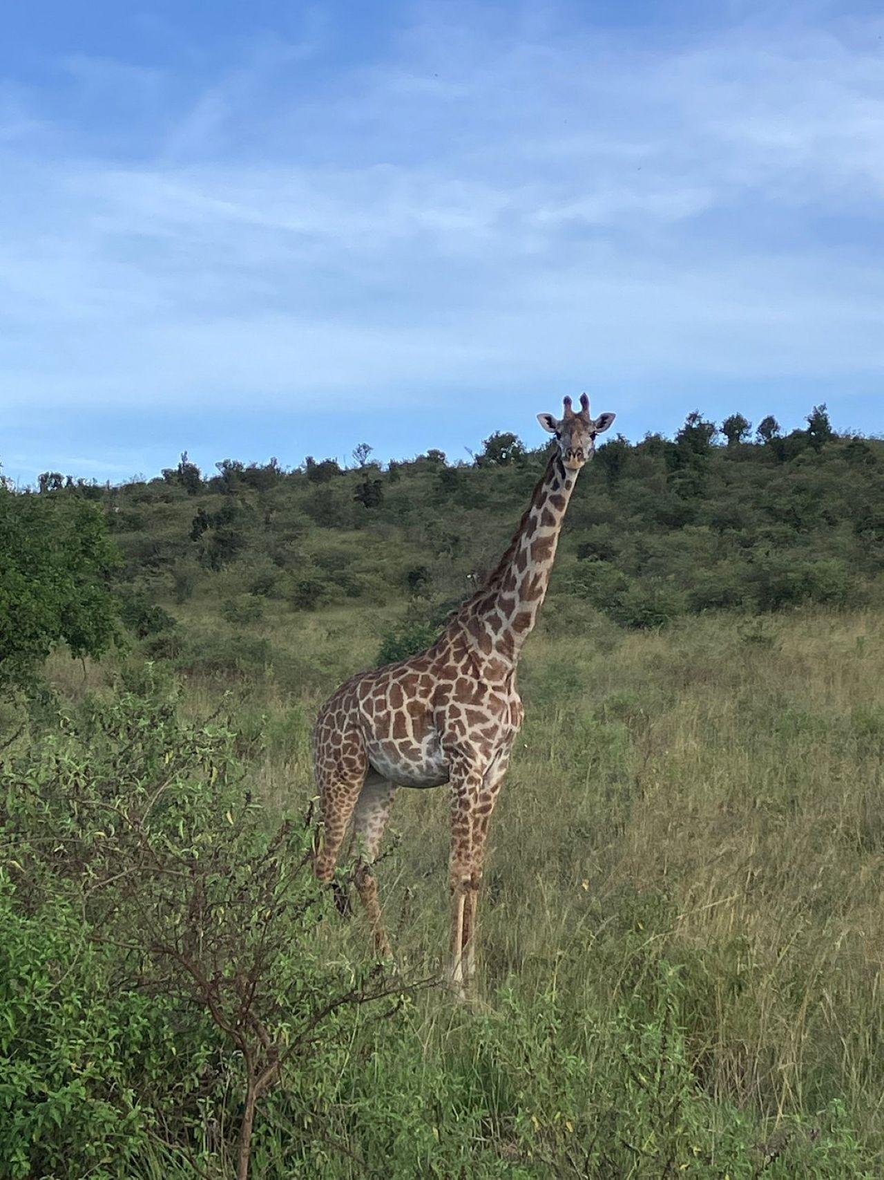 3-Day Maasai Mara Shared Jeep Safari from Nairobi