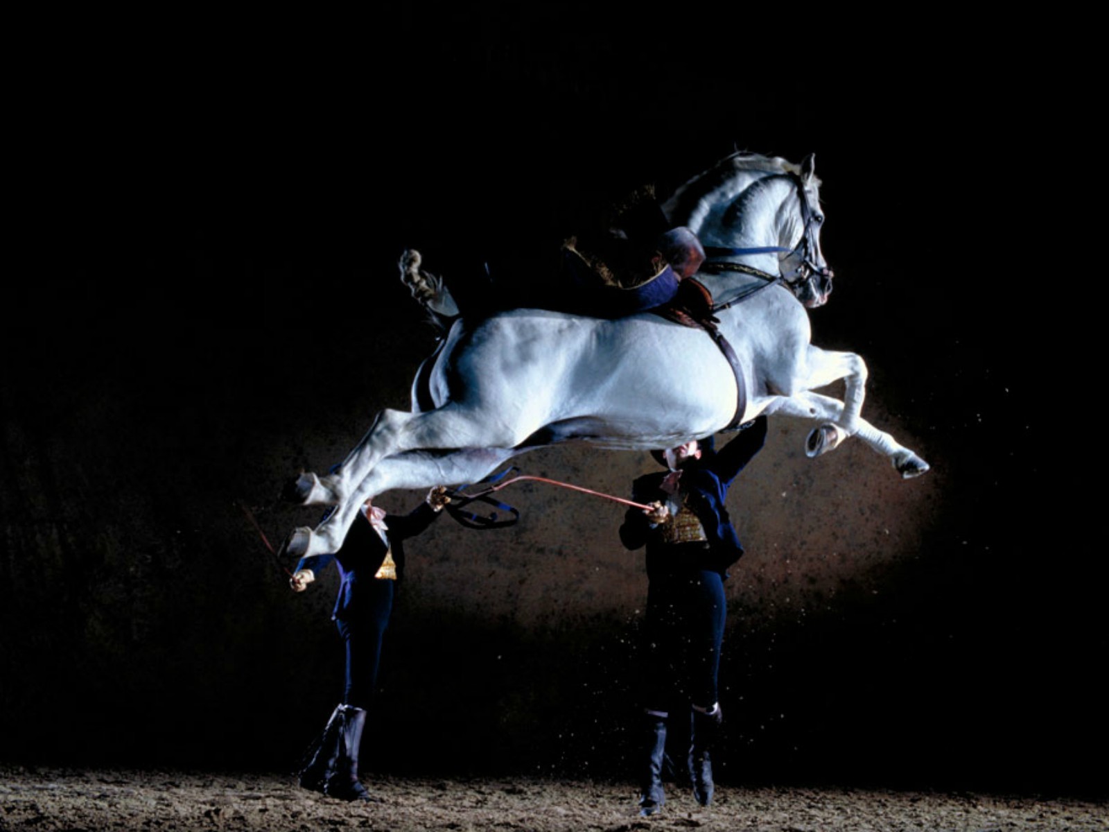 Jerez, Sherry & Equestrian Art: Private Day Tour from Seville