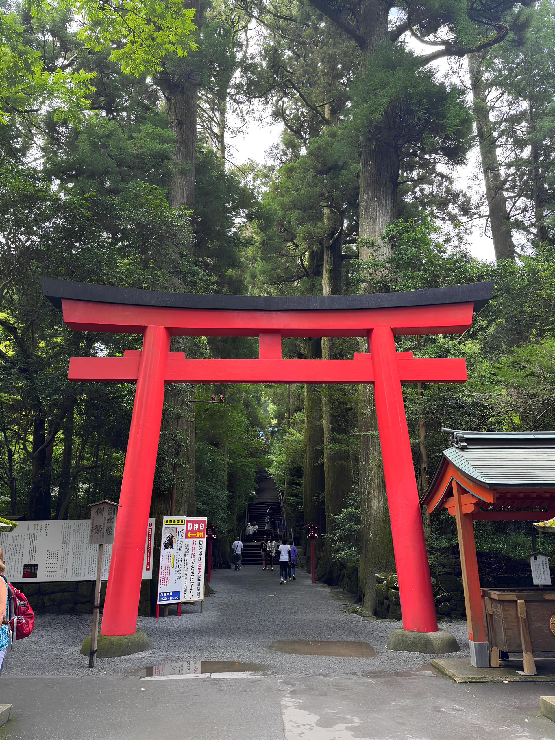 Tokyo to Mt. Fuji & Hakone: Private Full-Day Tour with English Driver