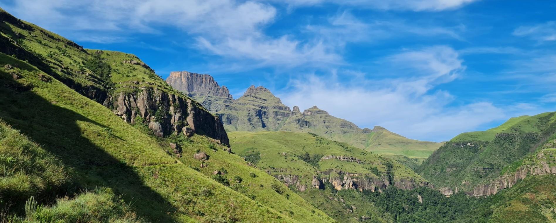 Durban City & Phezulu Safari Park Half-Day Adventure