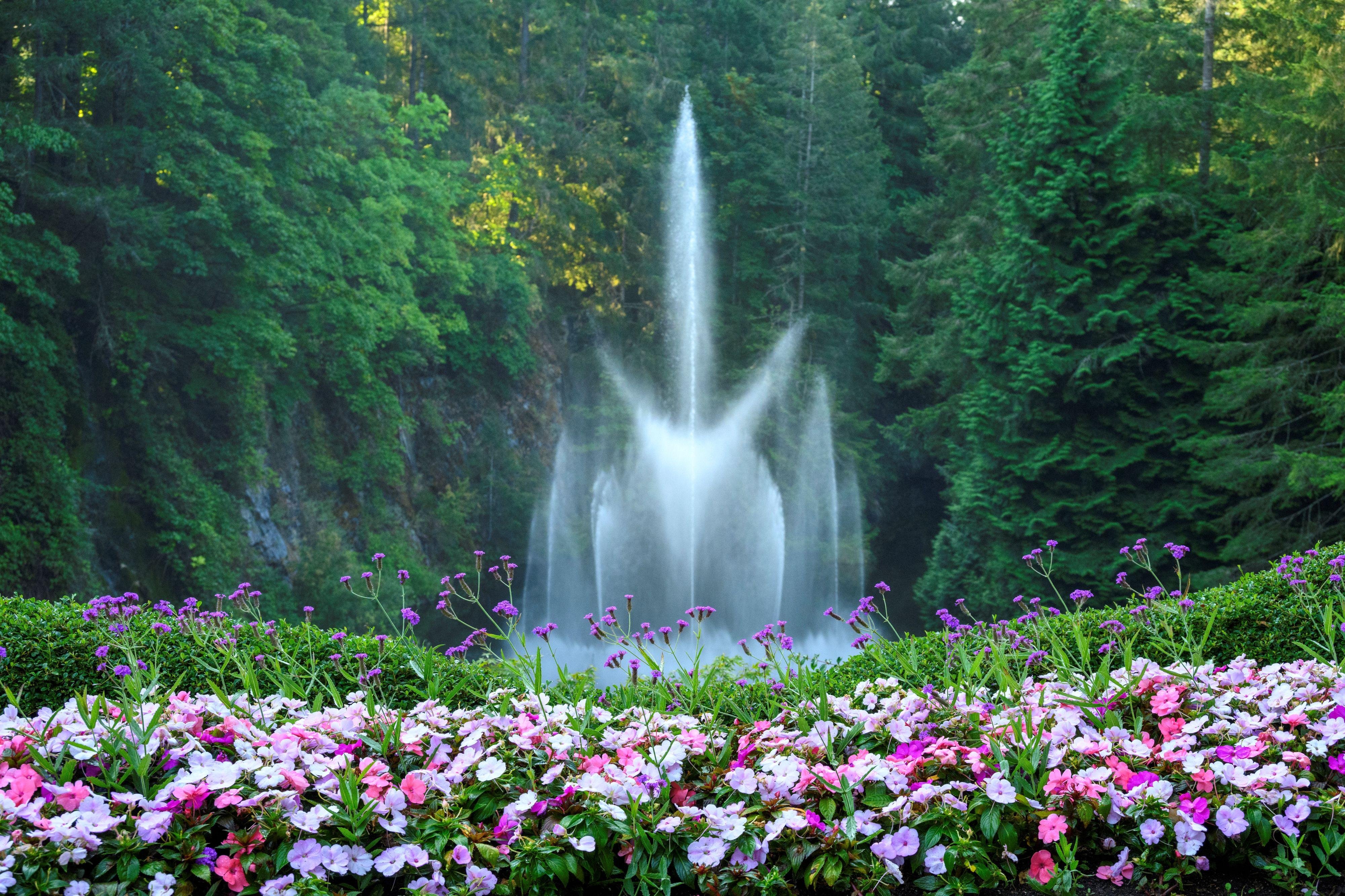 Butchart Gardens — the Sunken Garden, Rose Garden and Japanese Garden — image 7