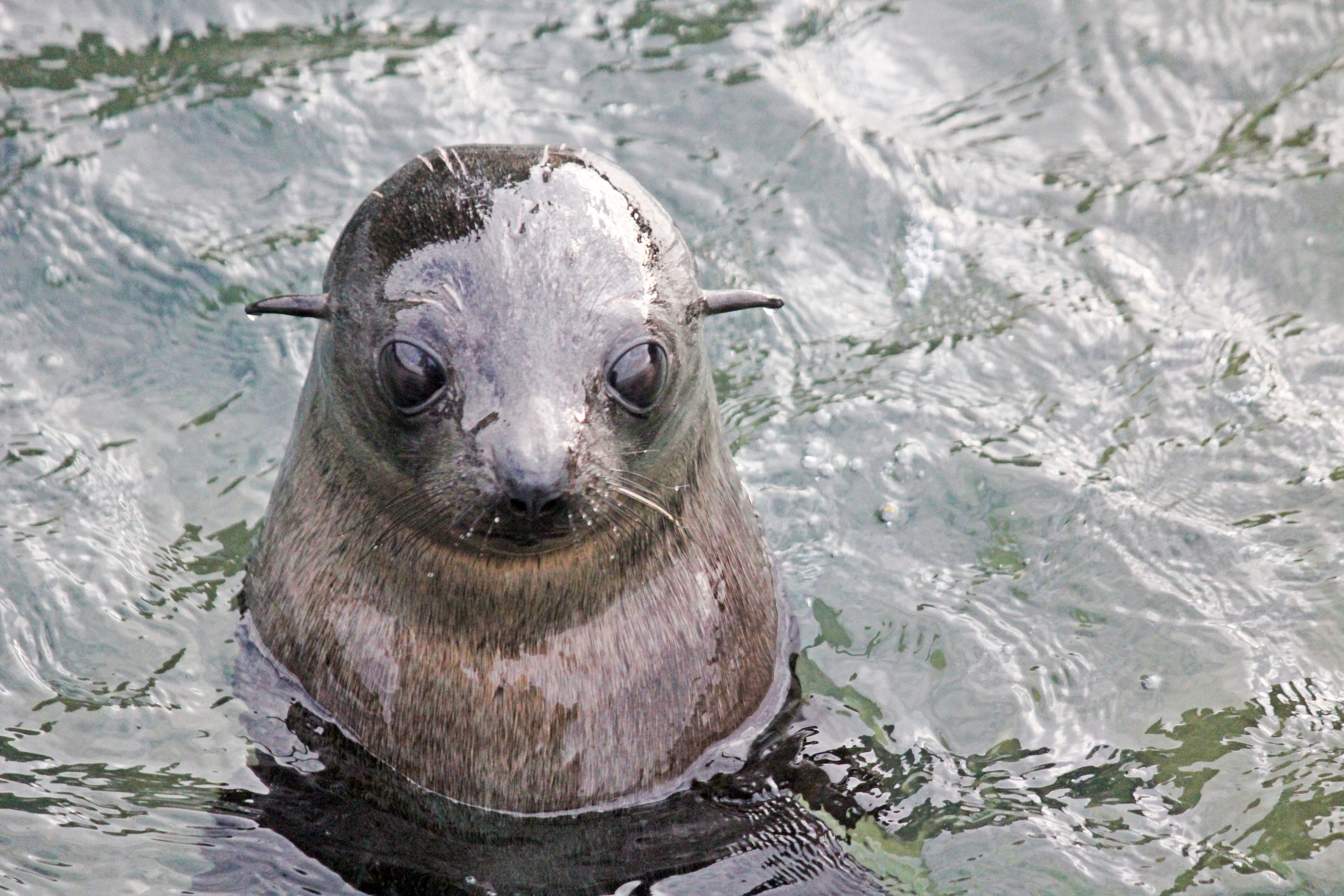South Island tour photo — image 3