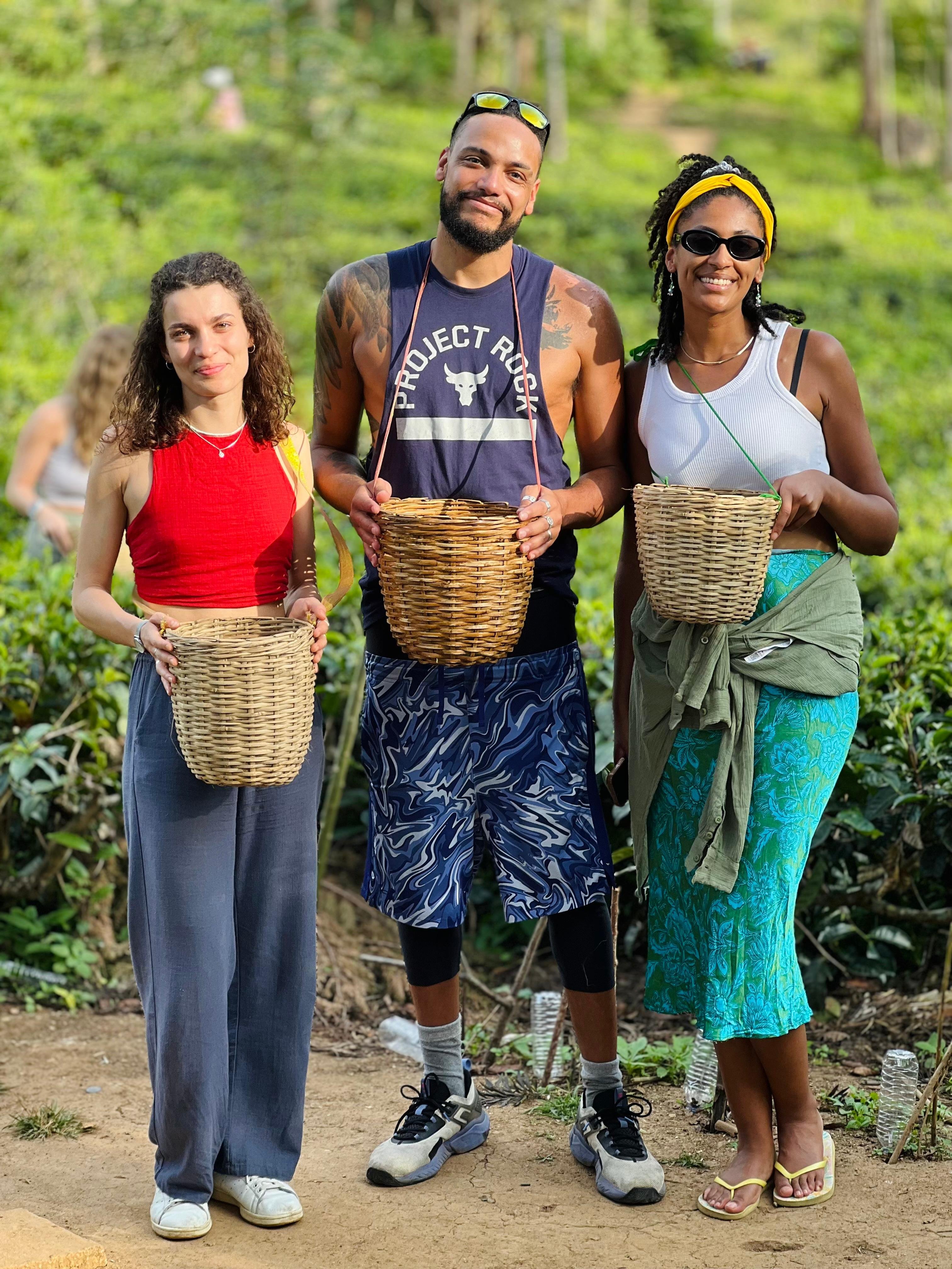 Ella: Hands-On Tea Crafting and Tasting Experience