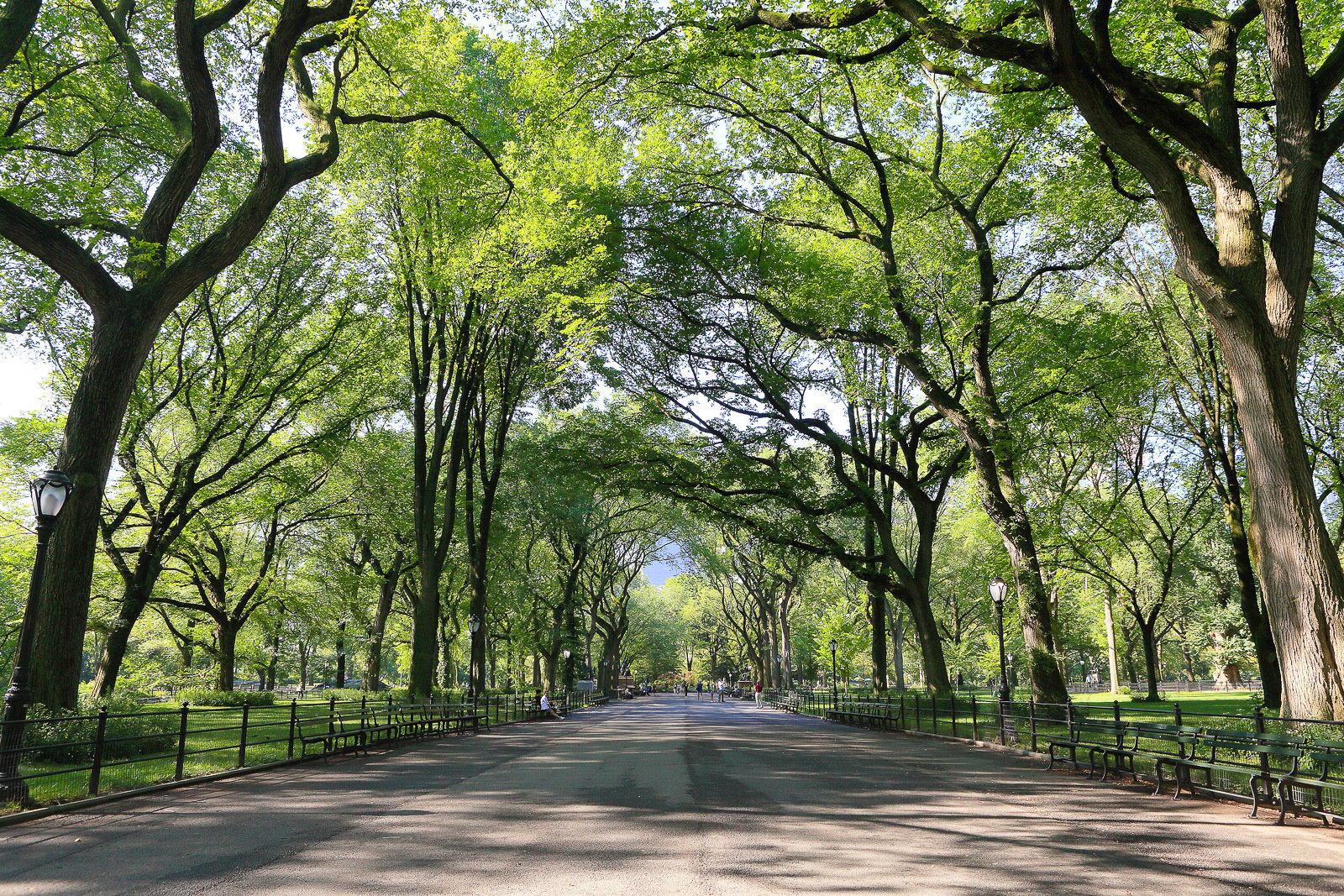 Central Park Pedicab Private Sightseeing Adventure
