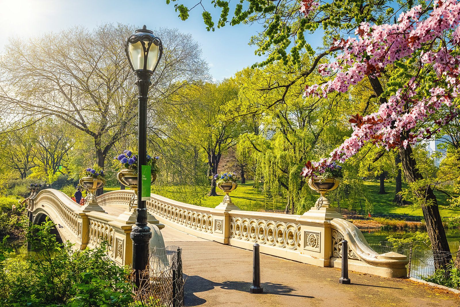 Central Park Pedicab Private Sightseeing Adventure