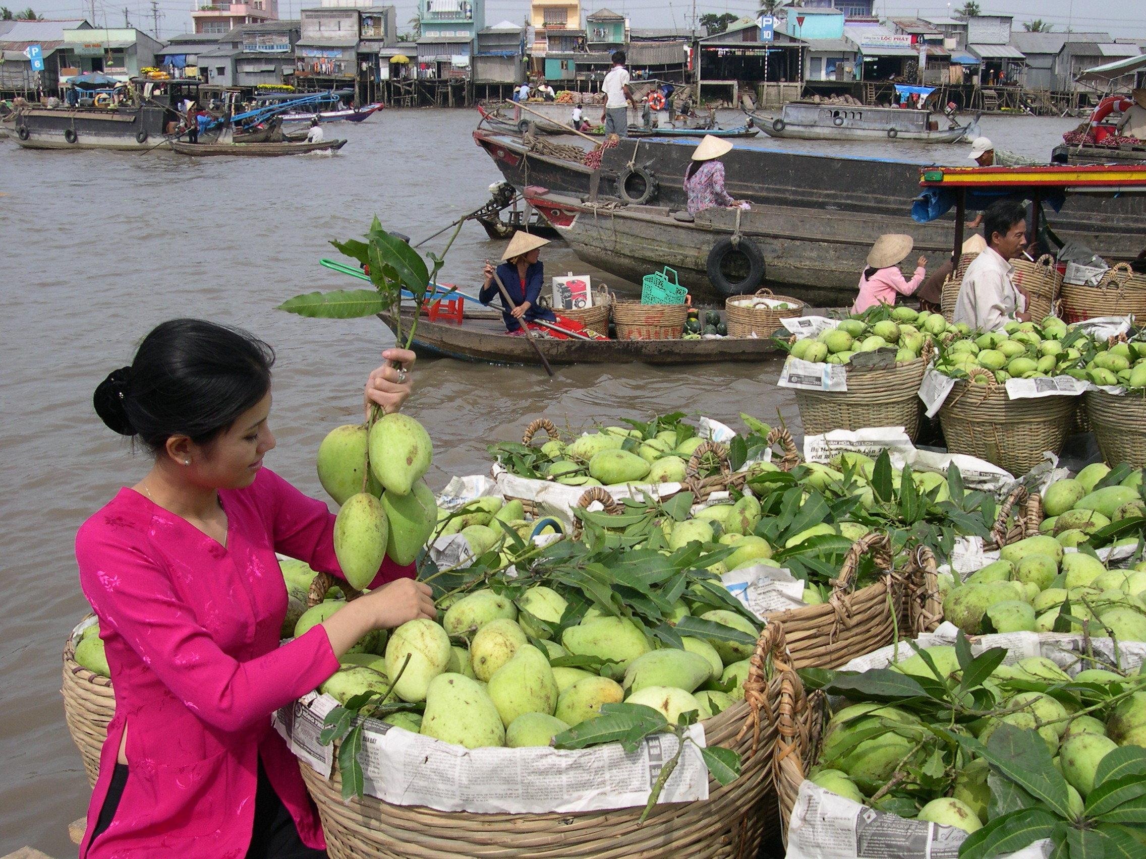 Cai Rang Floating Market & Mekong Delta Private Day Trip