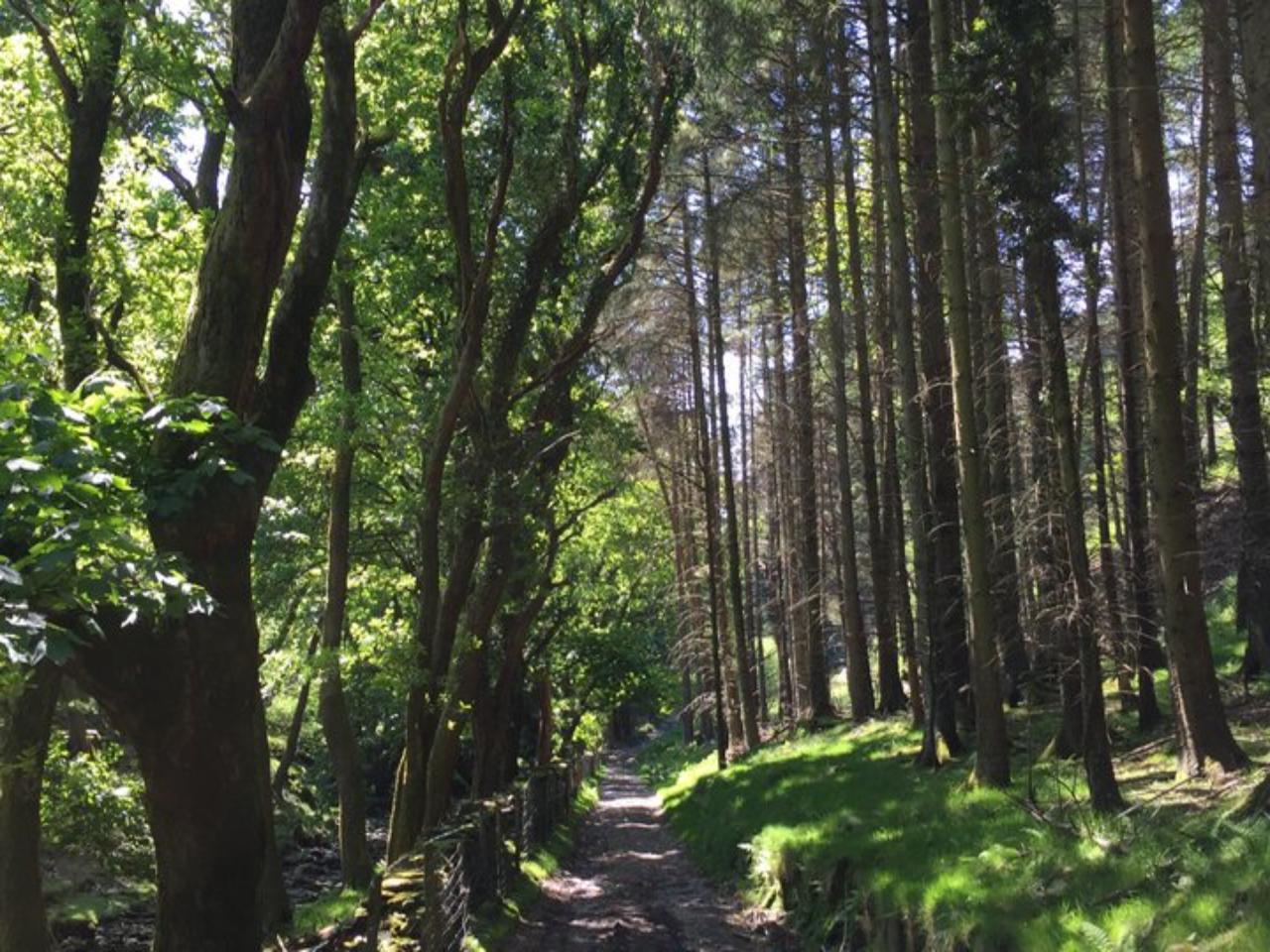 Private Eco Tour of Isle of Man Gardens & Glens