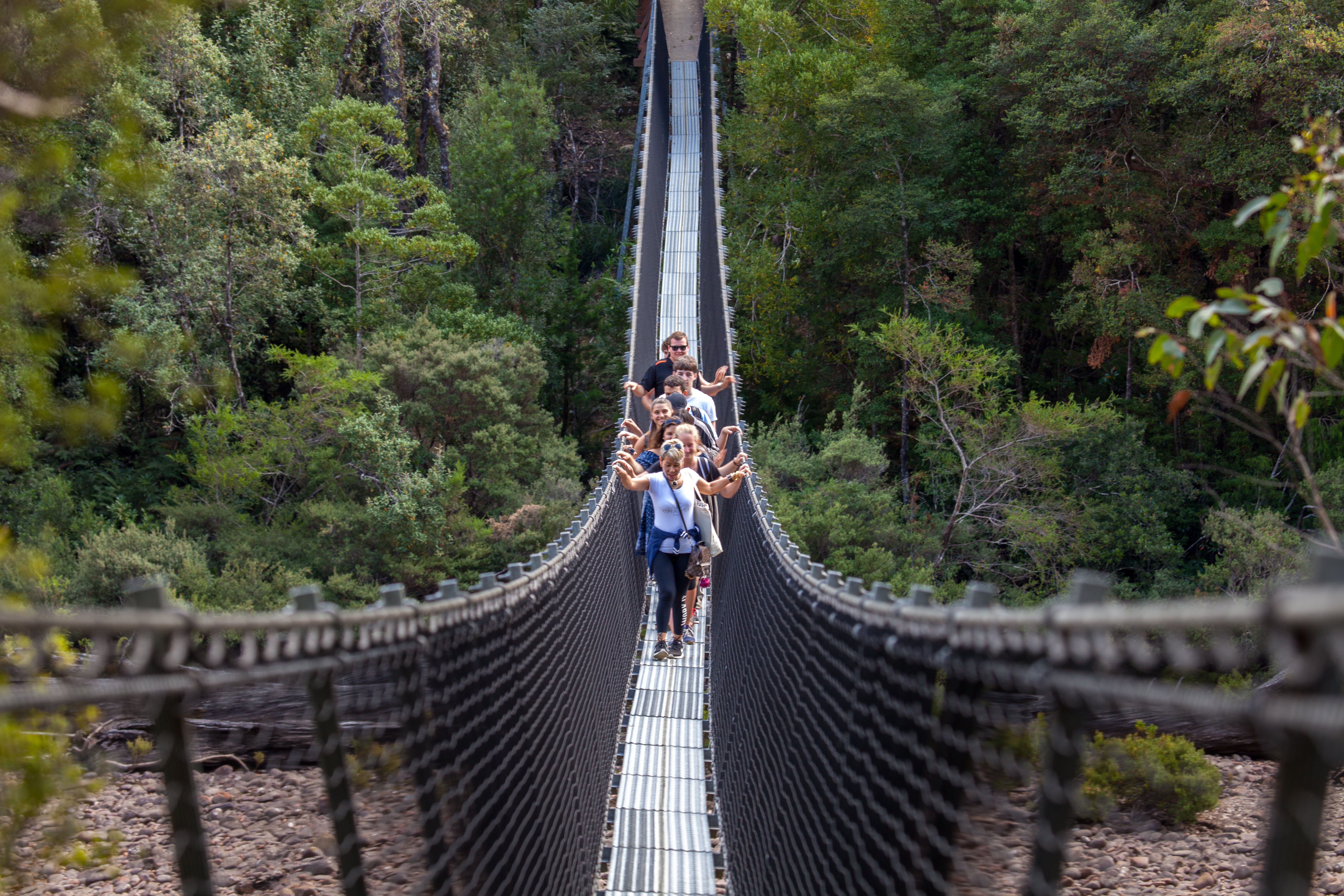 Southern Tasmania: Forest Canopy Walk, Cave & Thermal Springs