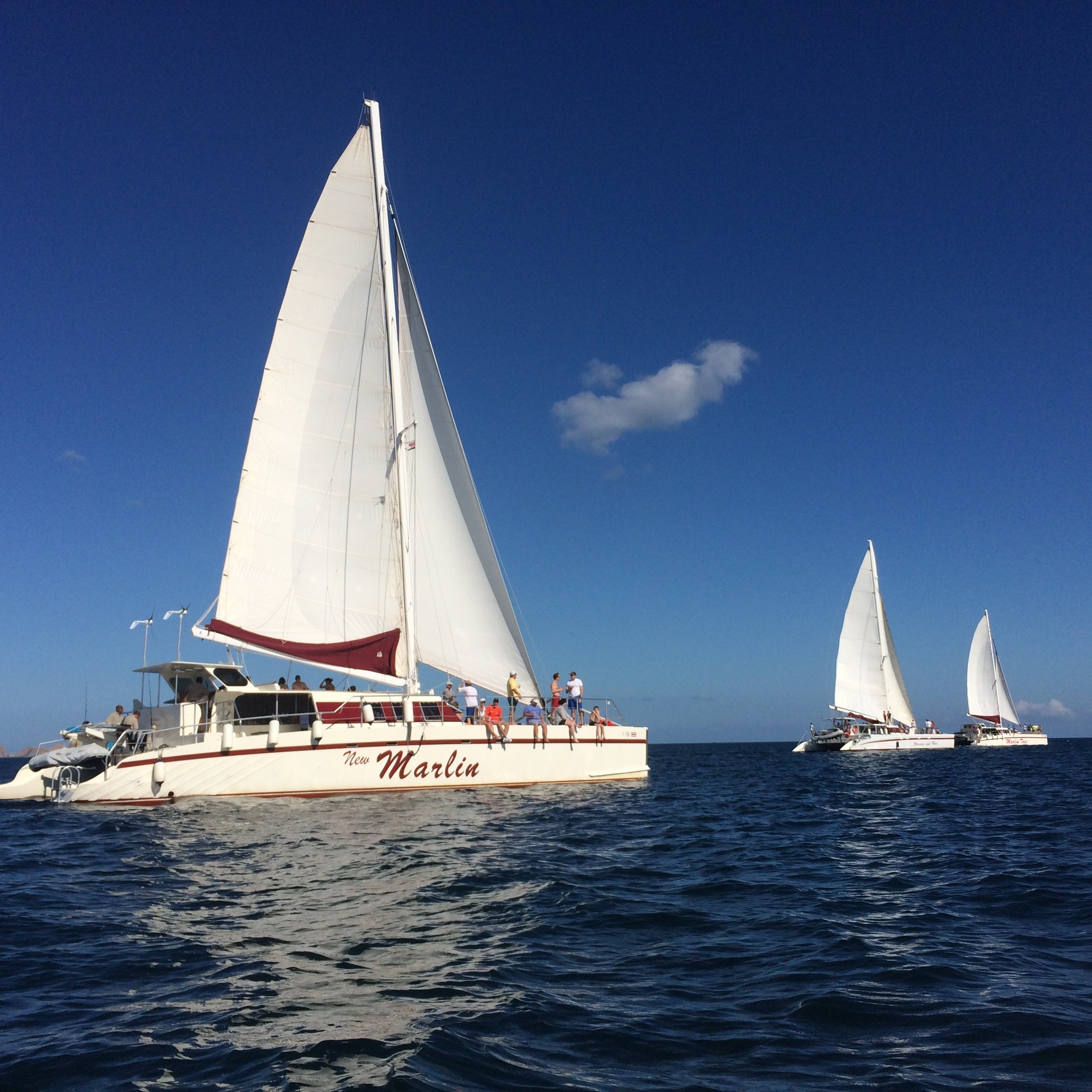 Gold Coast Sunset Sail & Snorkel