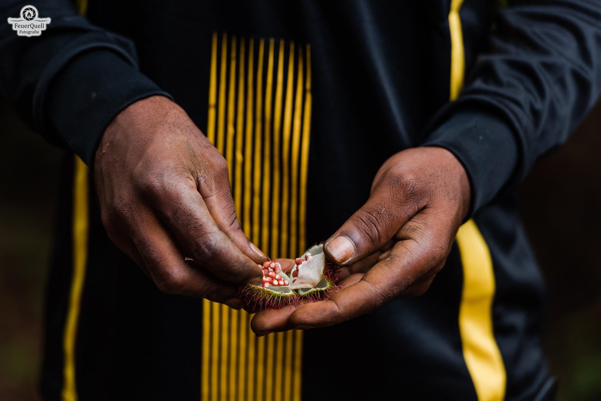 Zanzibar Full-Day Discovery: Stone Town, Spice Farm & Prison Island