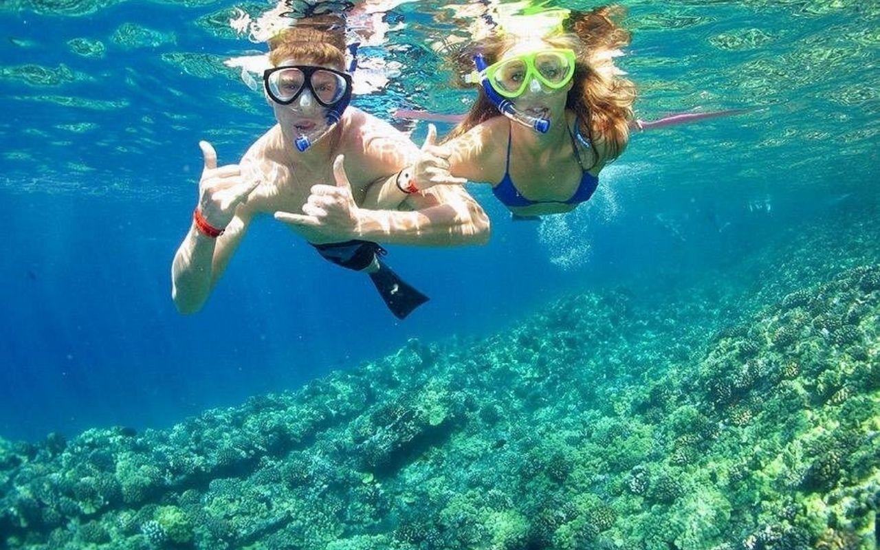 Tiran Island Snorkel & Dive Day Trip from Sharm El Sheikh