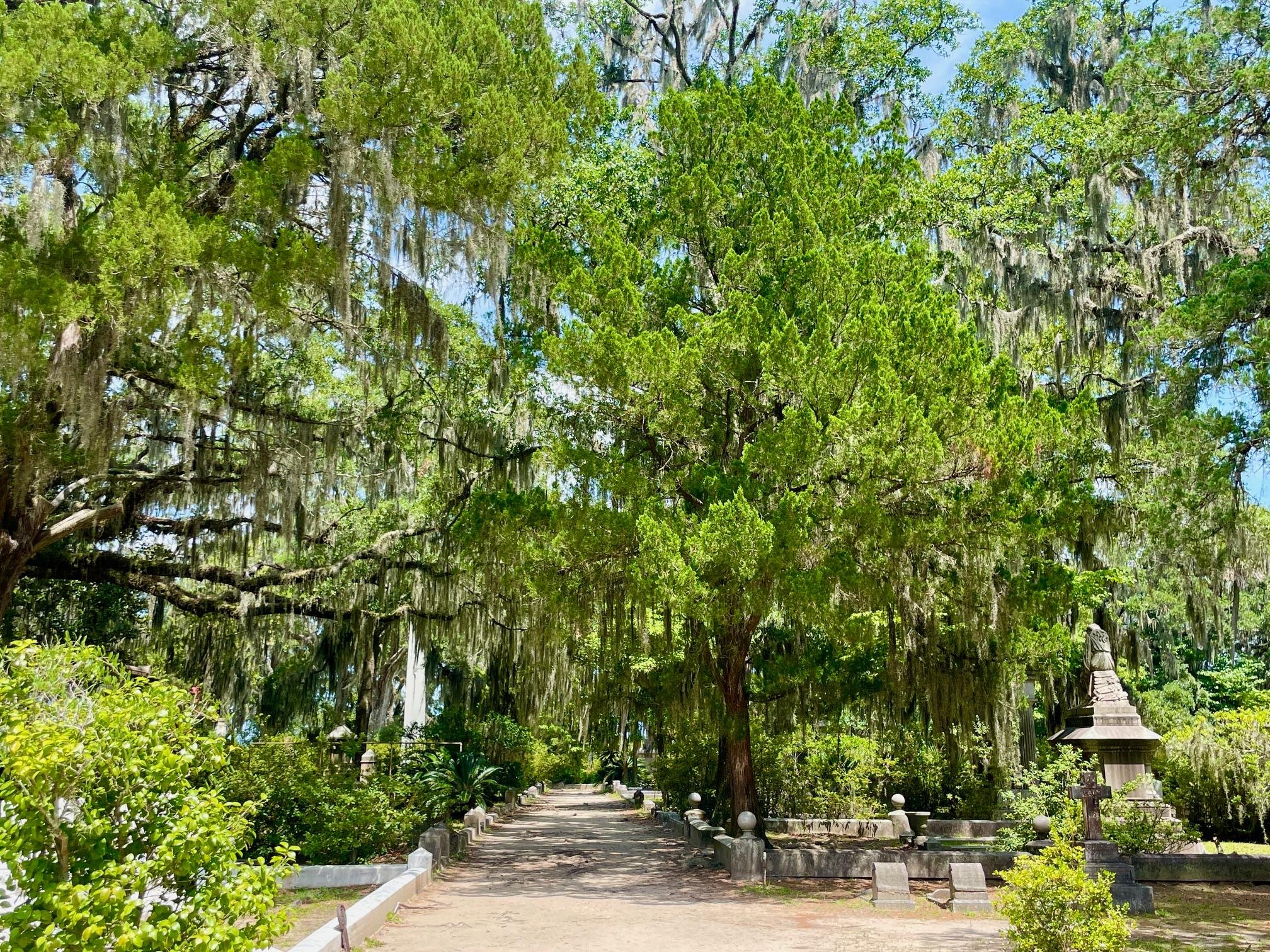 Bonaventure Cemetery Guided Golf Cart Tour