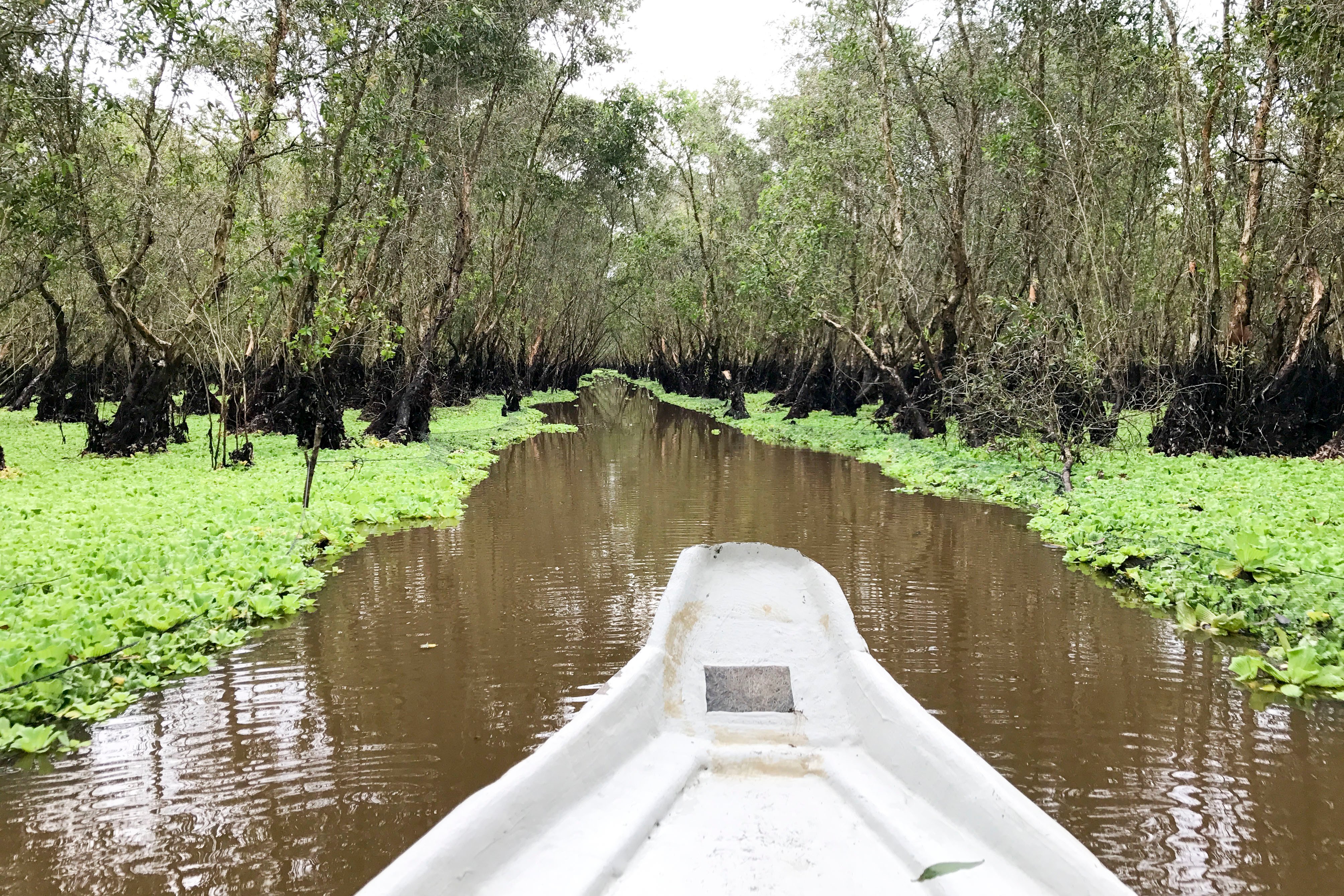 3-Day Mekong Delta Expedition: Ho Chi Minh to Phnom Penh