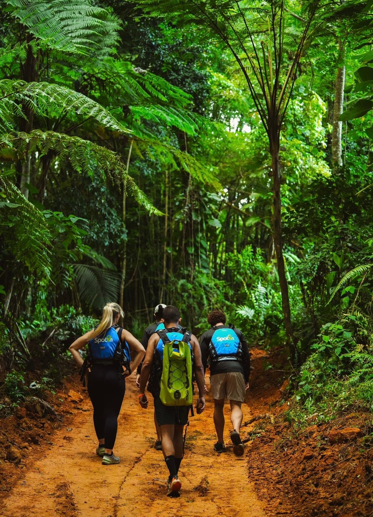 El Yunque Rainforest Adventure & Natural Waterslide Tour